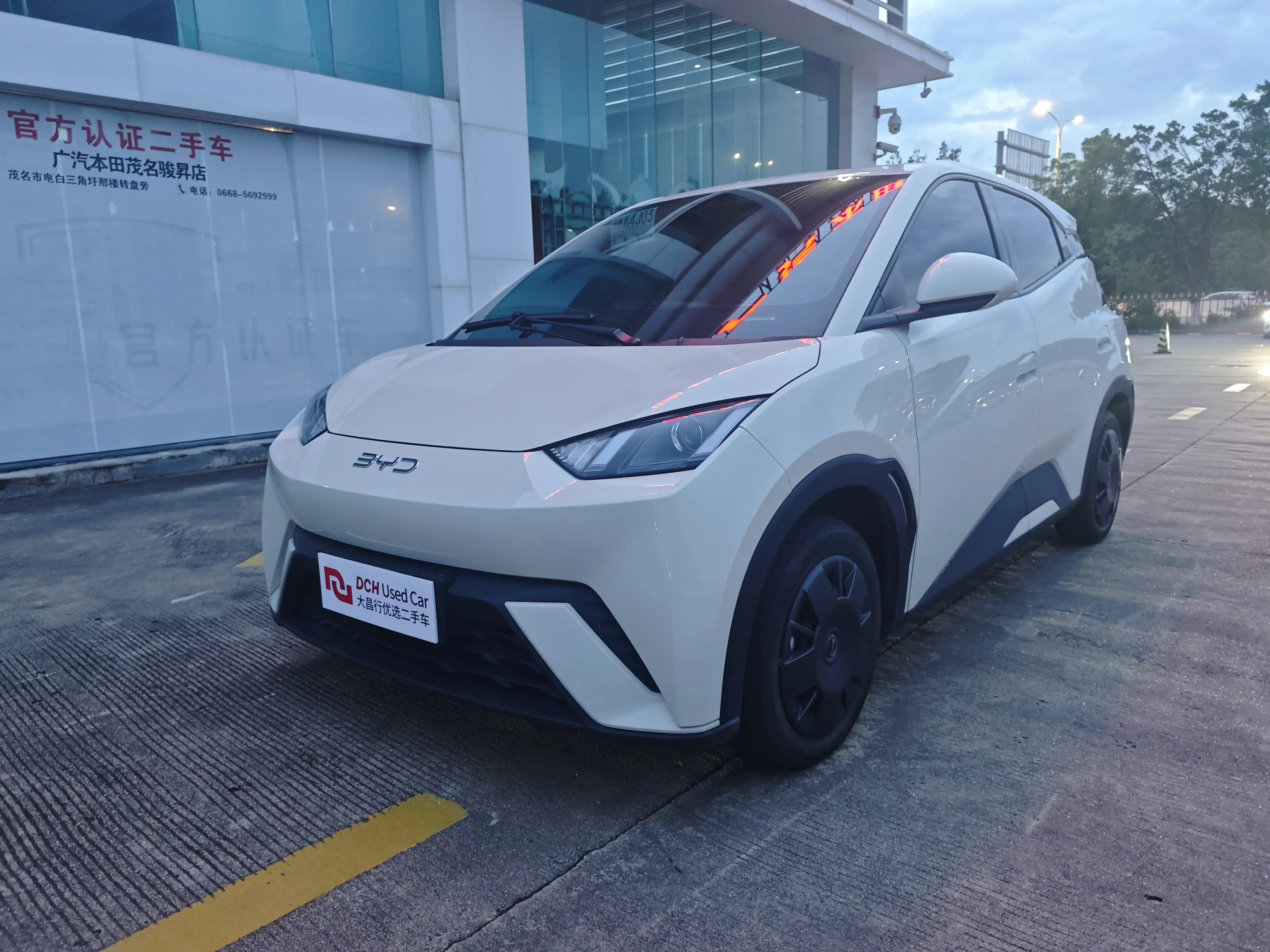 BYD Seagull