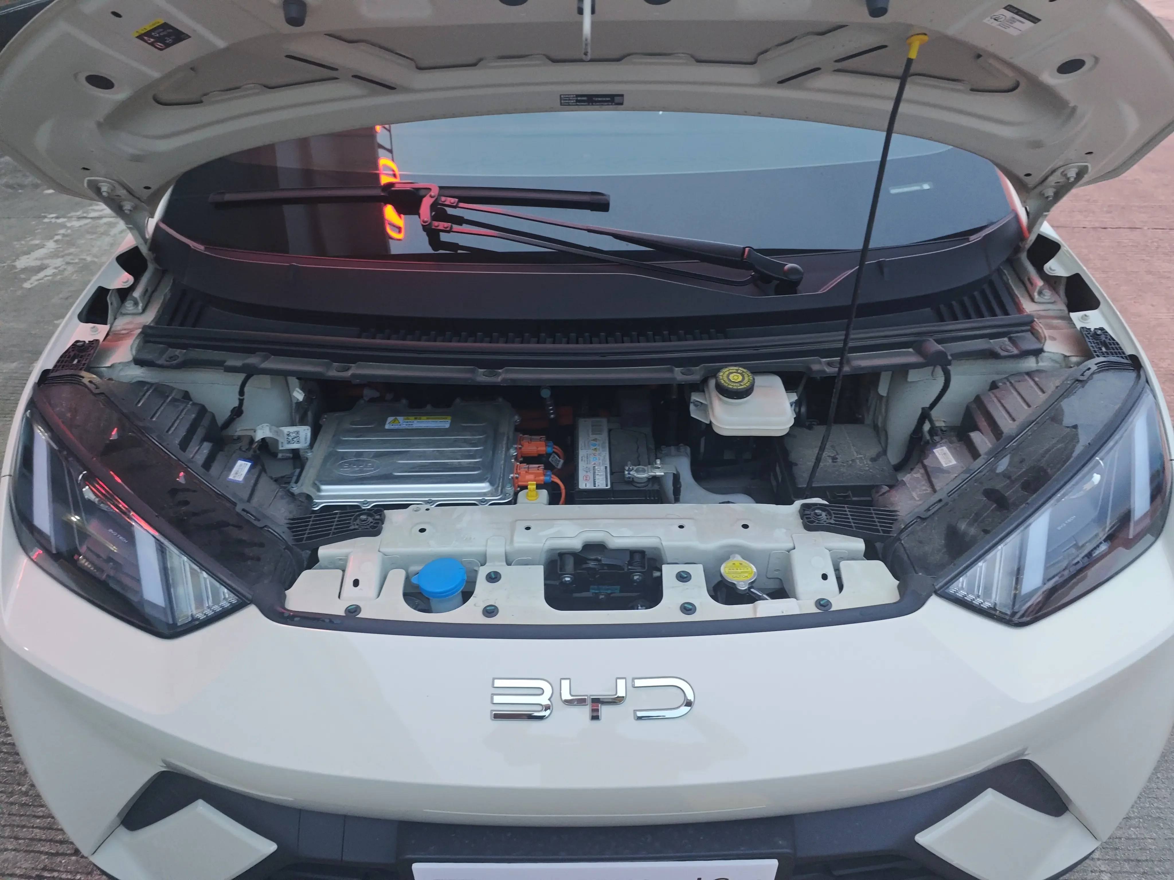 BYD Seagull