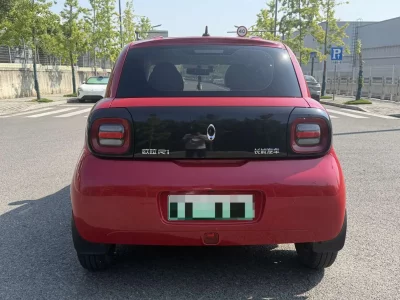 ORA Euler black cat