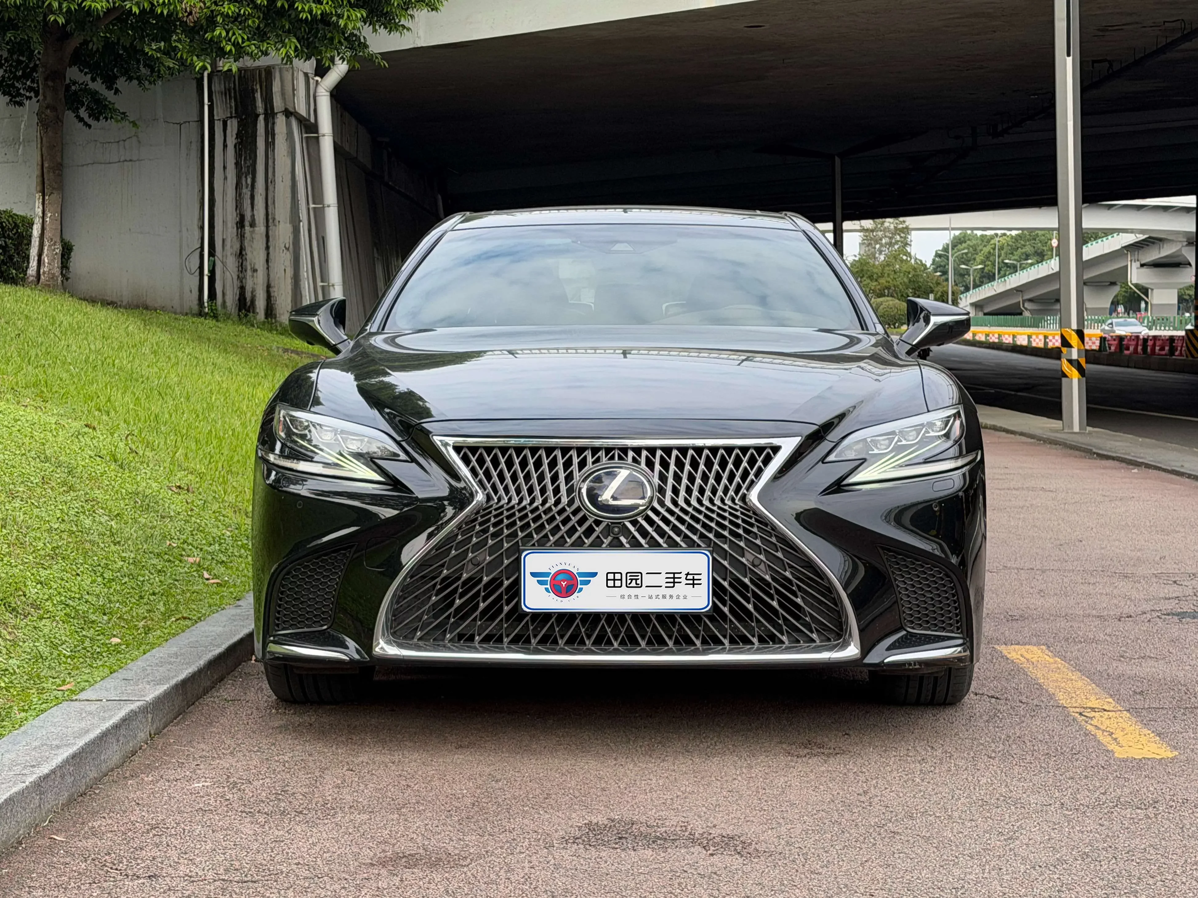 Lexus LS