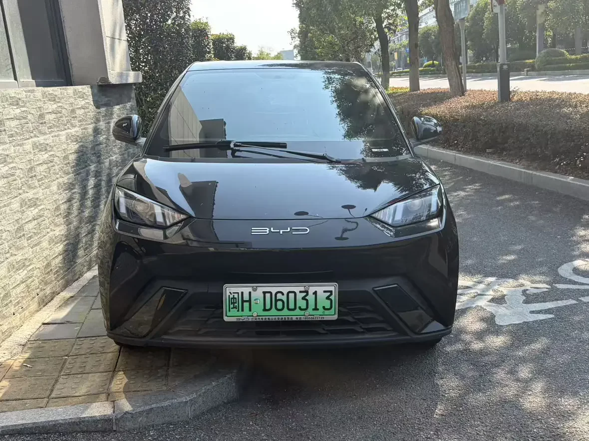 BYD Seagull