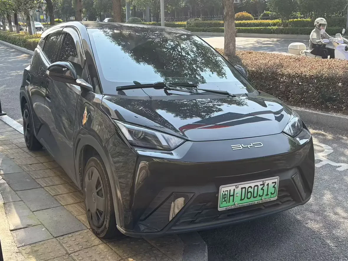 BYD Seagull
