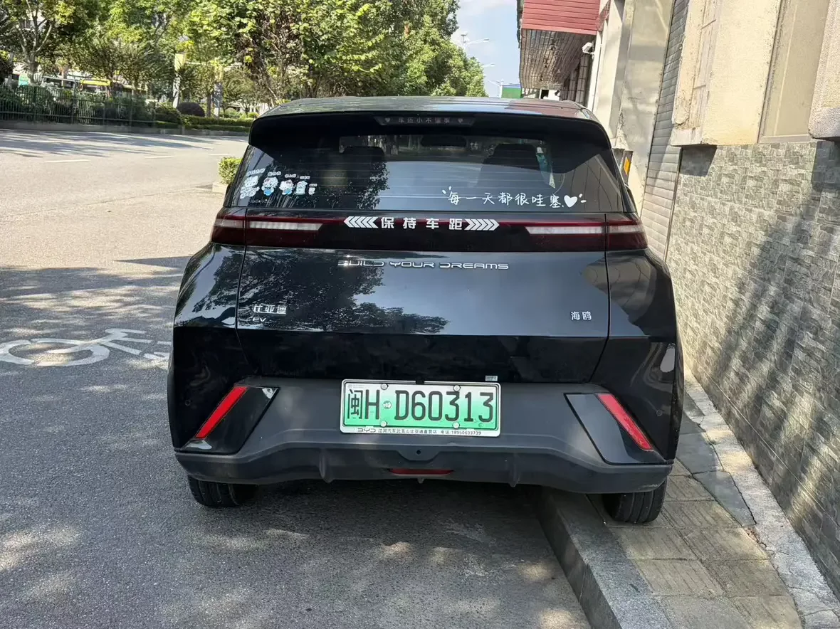 BYD Seagull