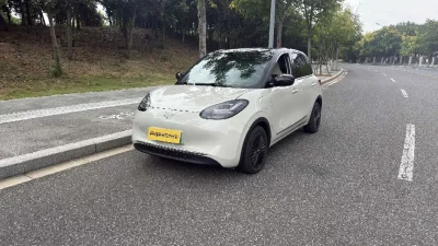 Wuling Bingo
