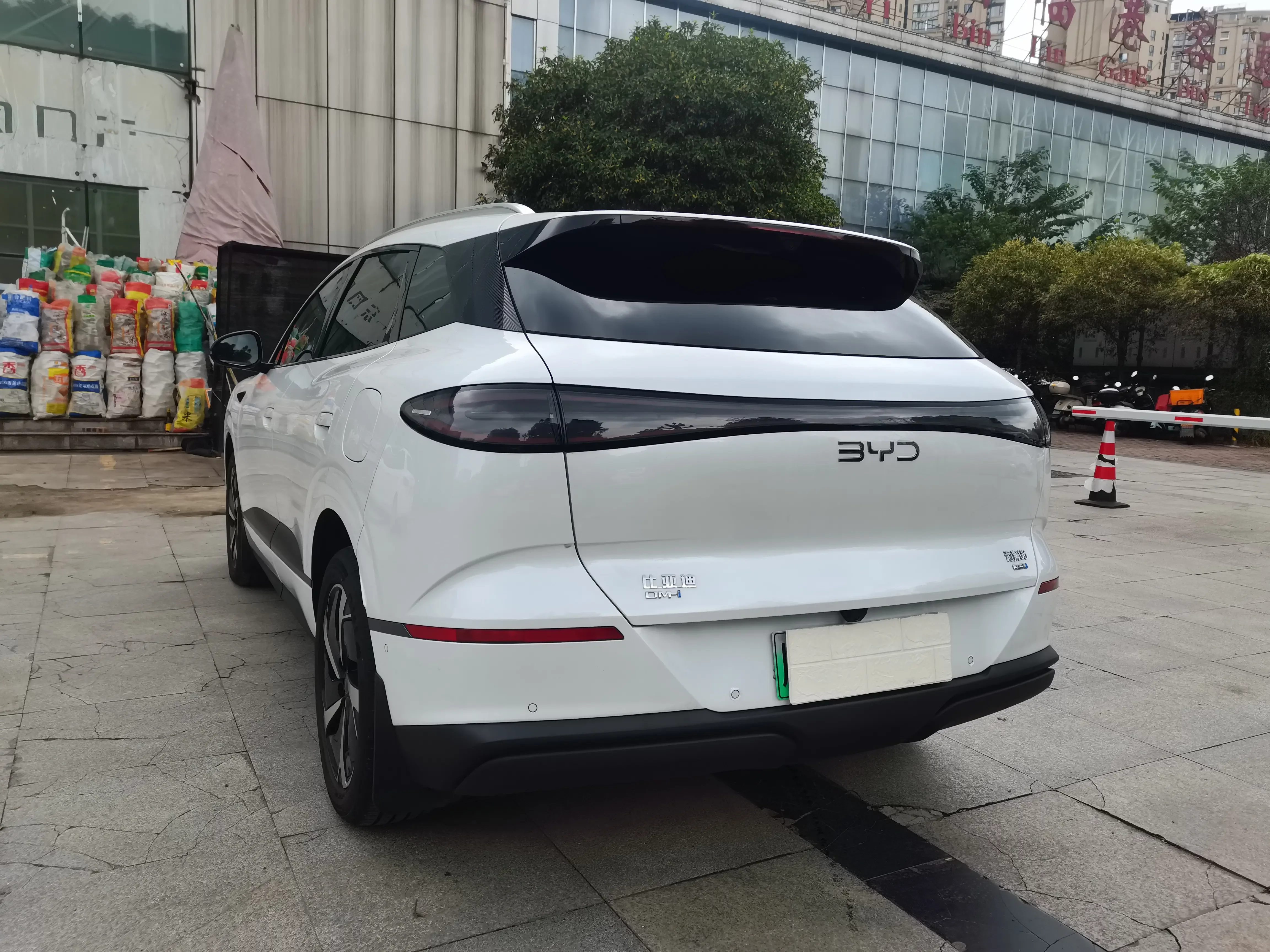 BYD Sea Lion 06DM