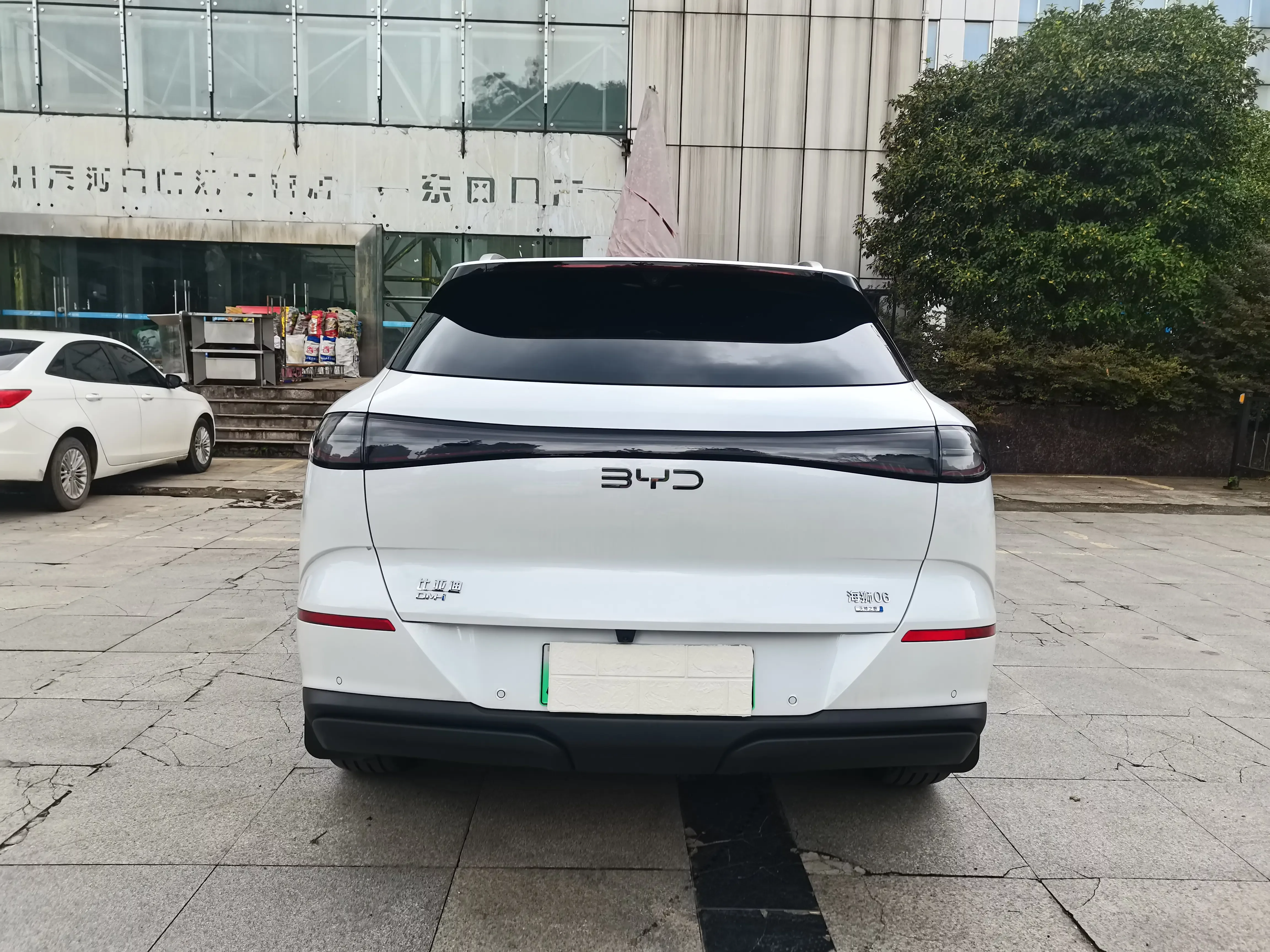 BYD Sea Lion 06DM