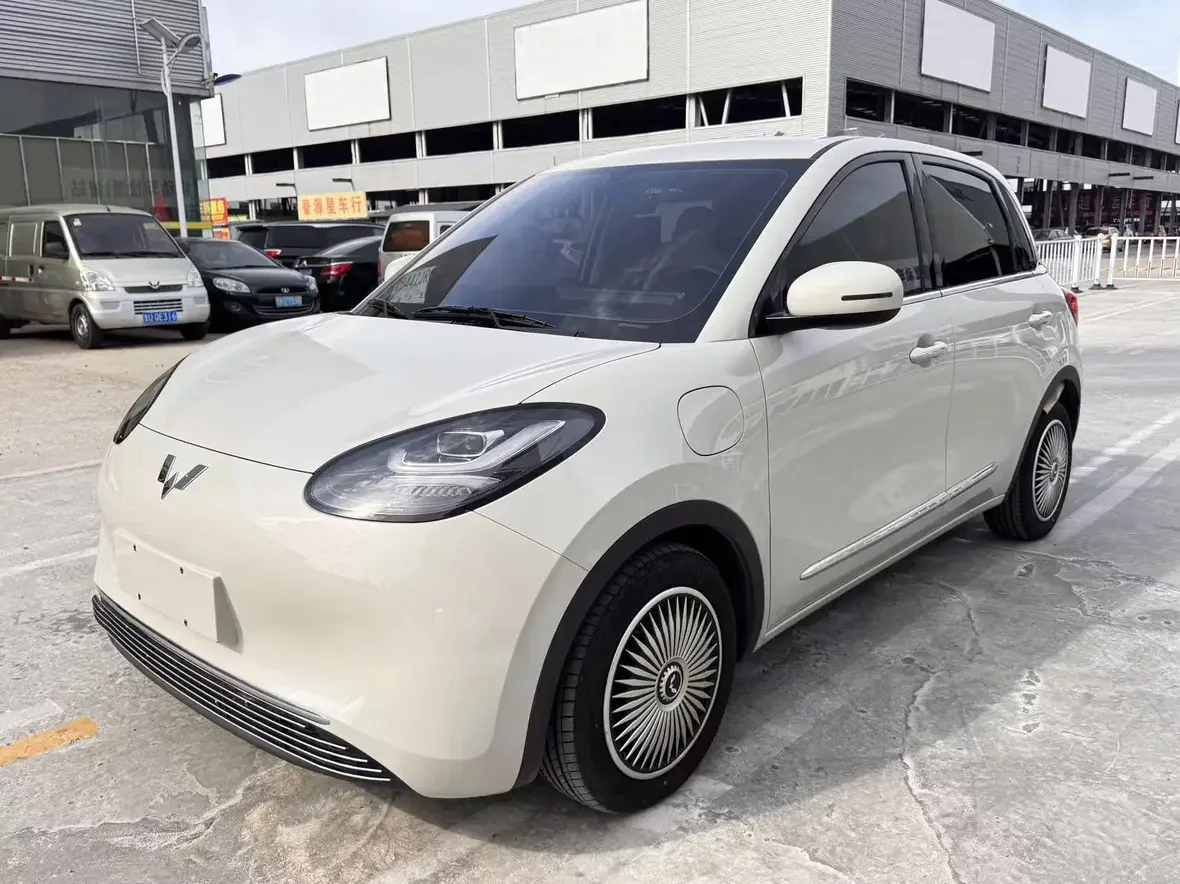 Wuling Bingo