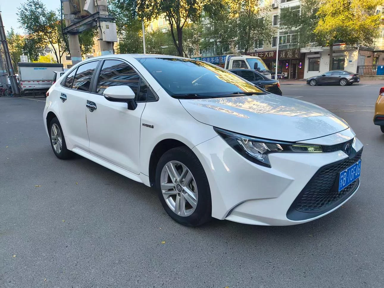 Toyota Levin