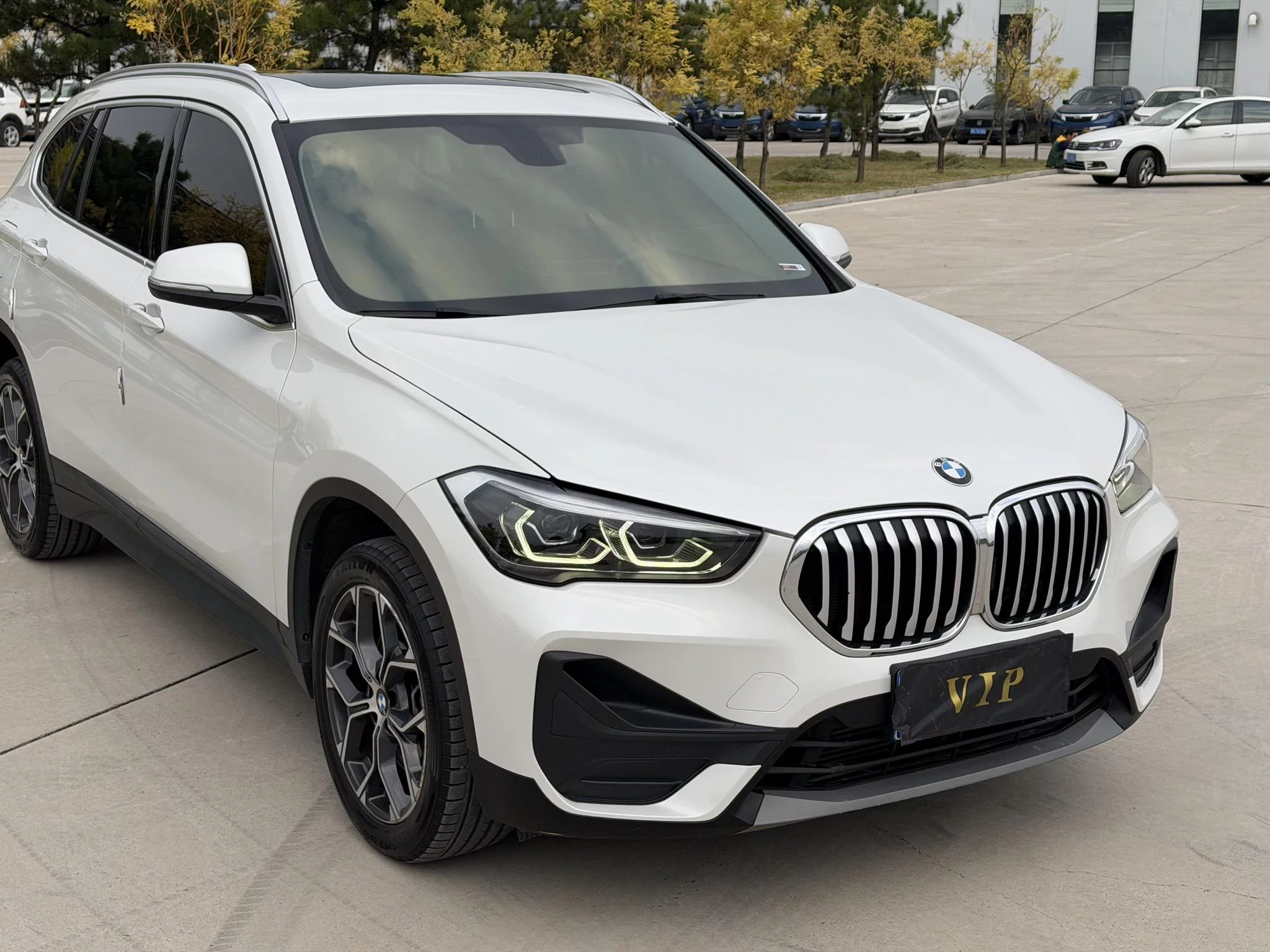 BMW X1