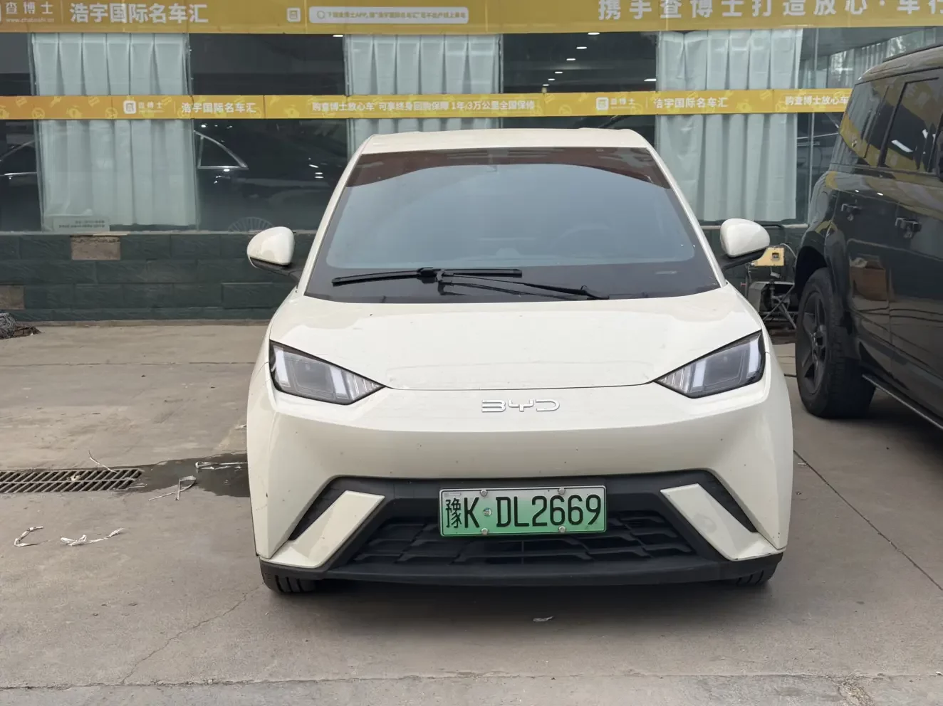 BYD Seagull