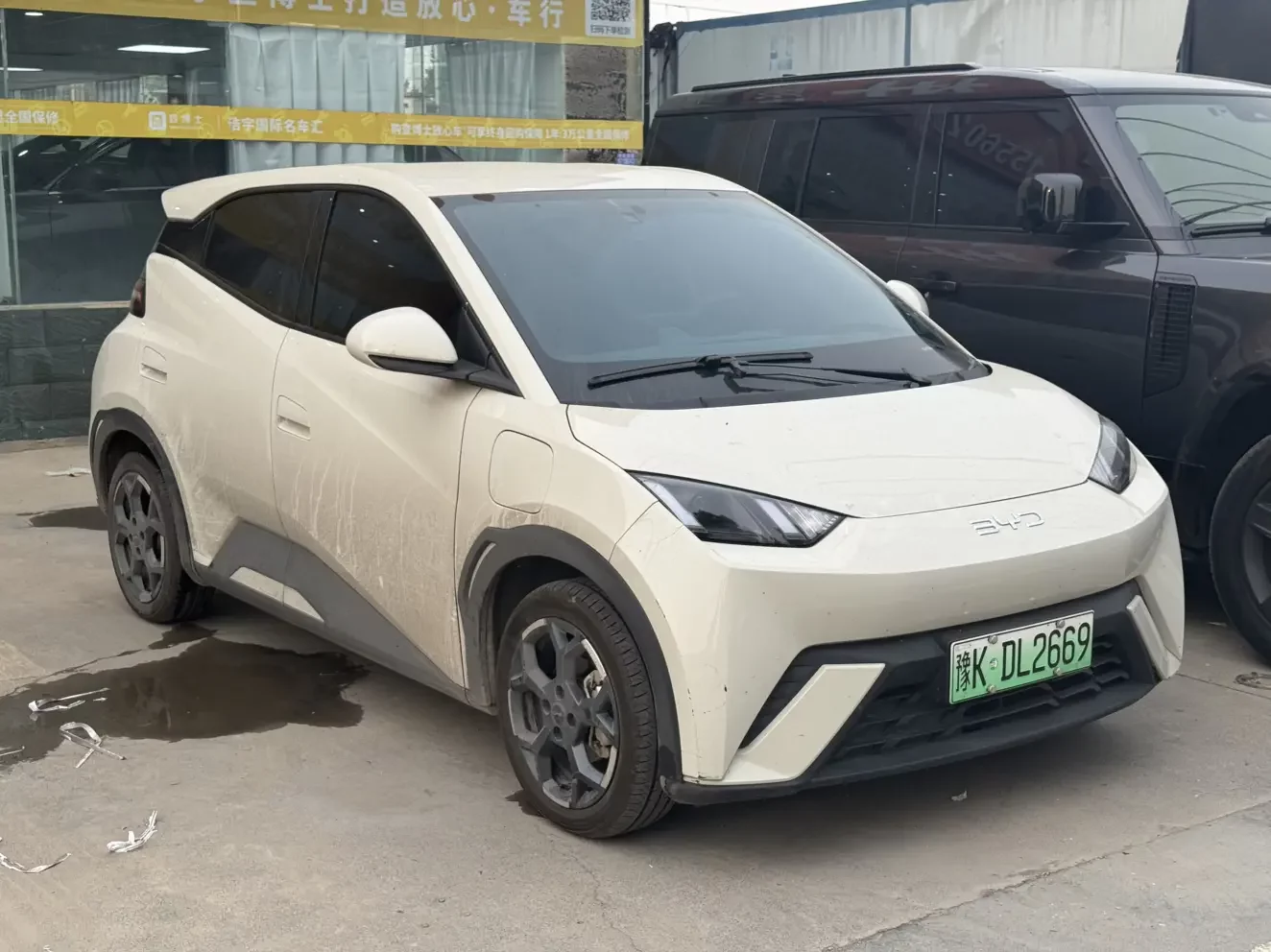 BYD Seagull