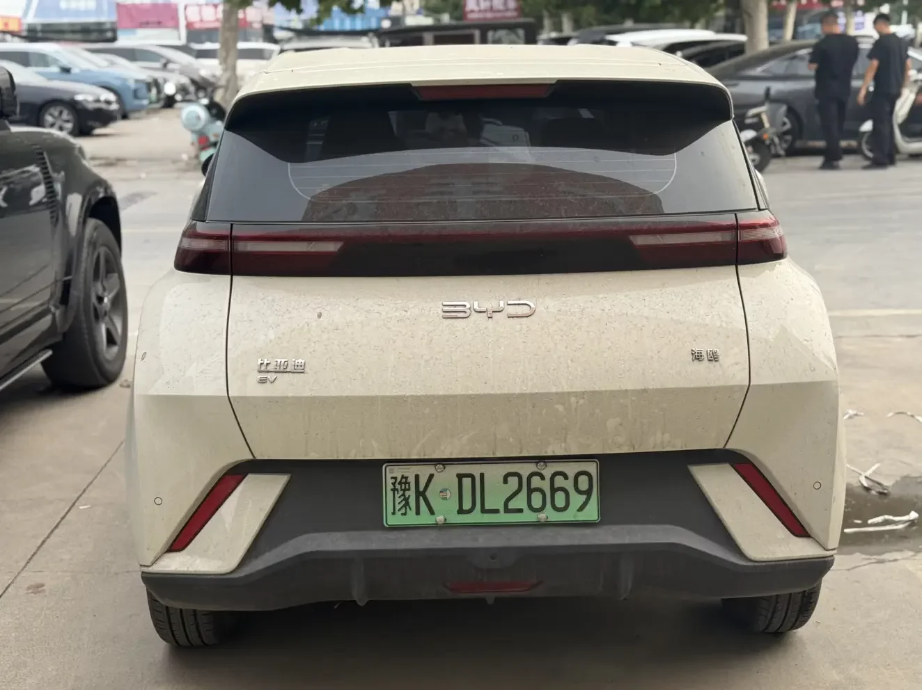 BYD Seagull