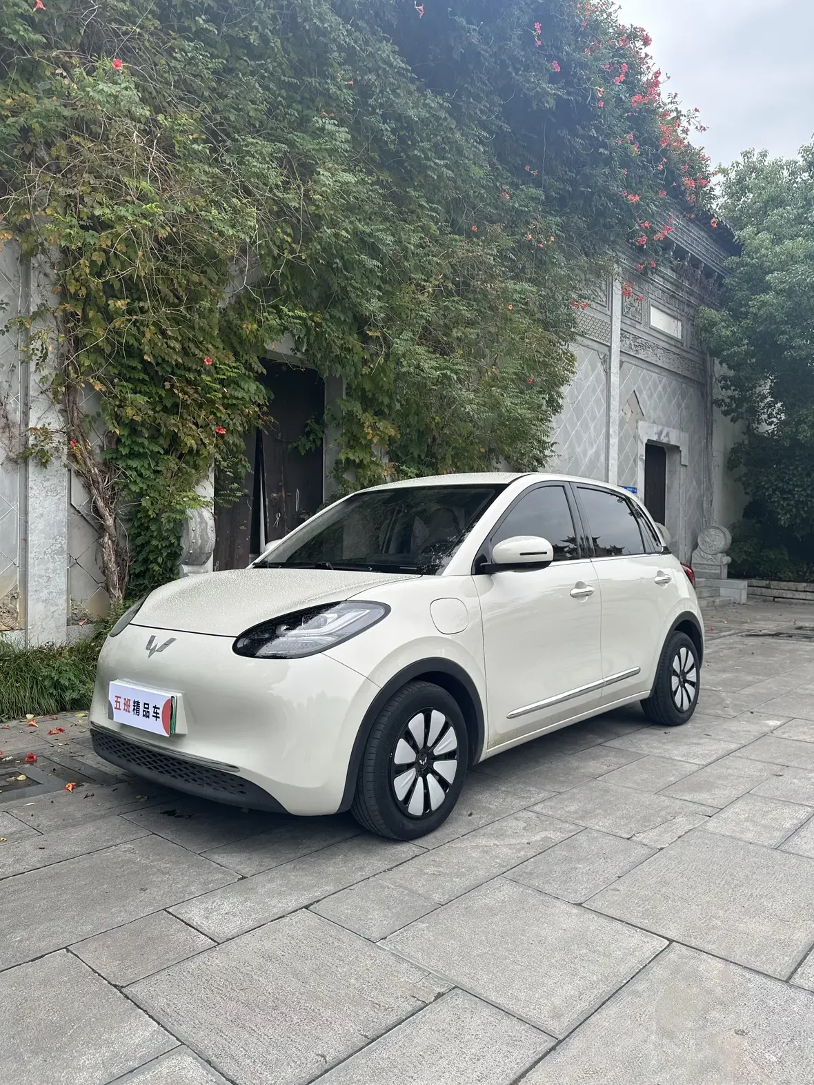 Wuling Bingo