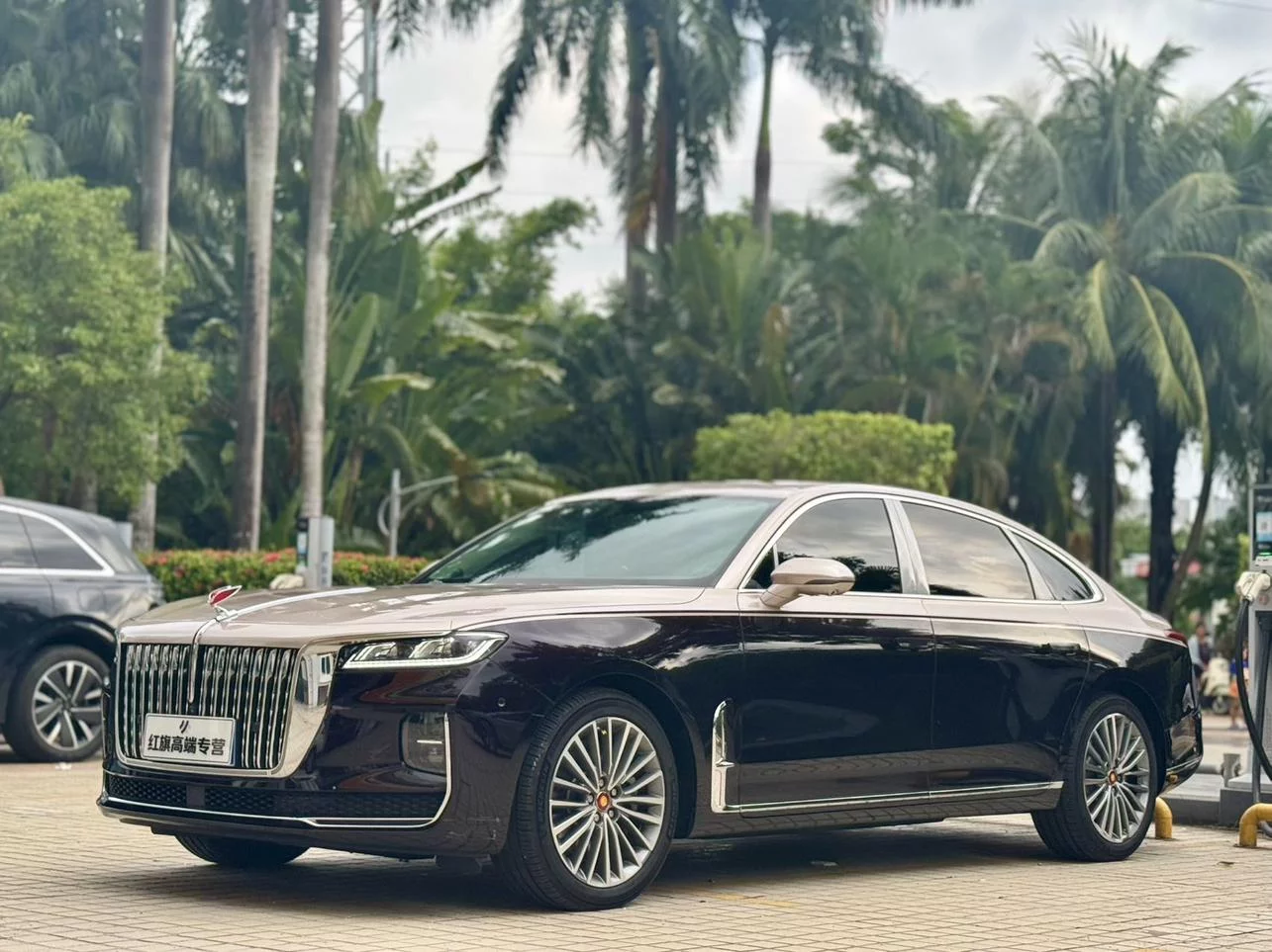 Hongqi H9