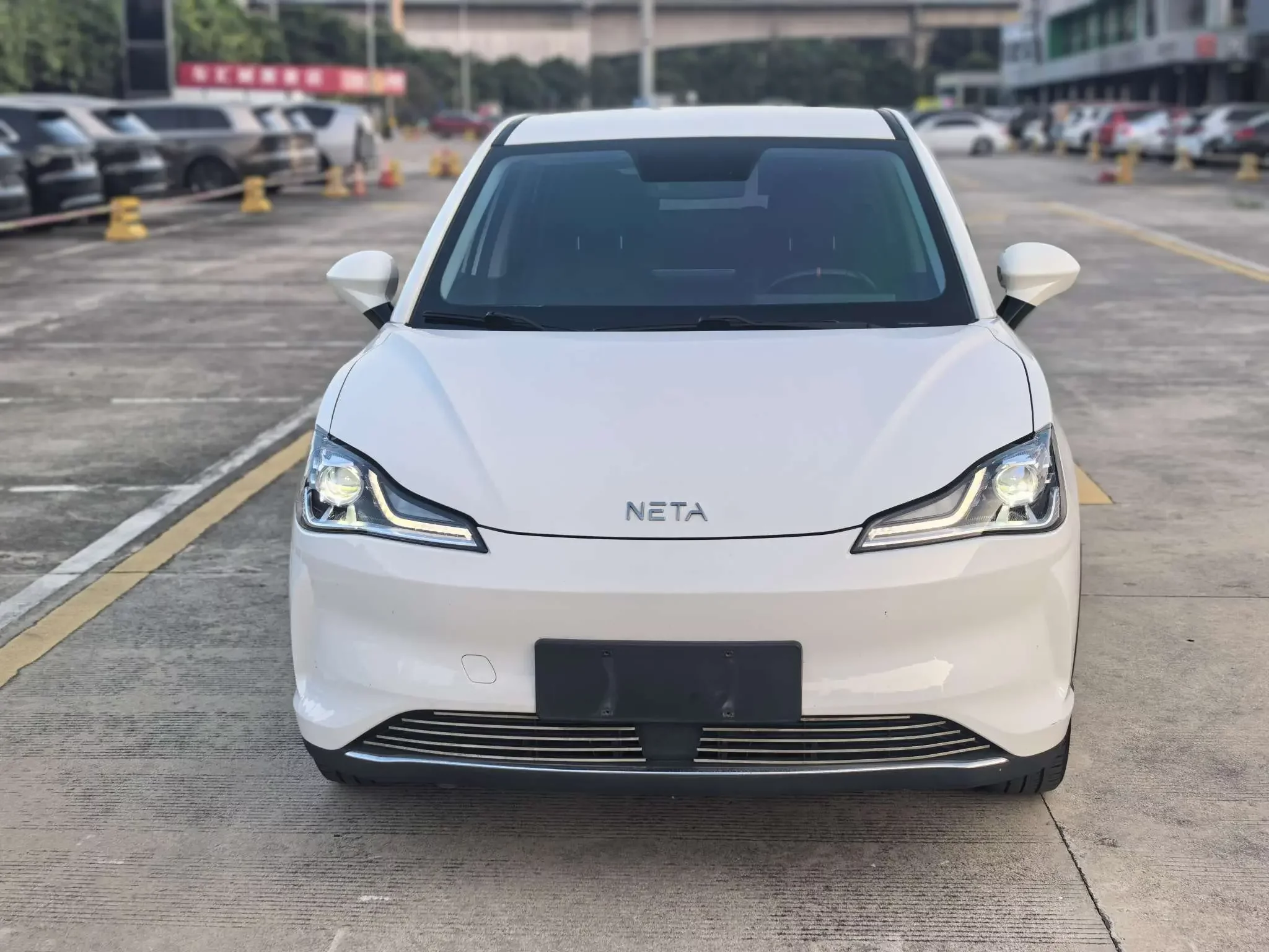 NETA V