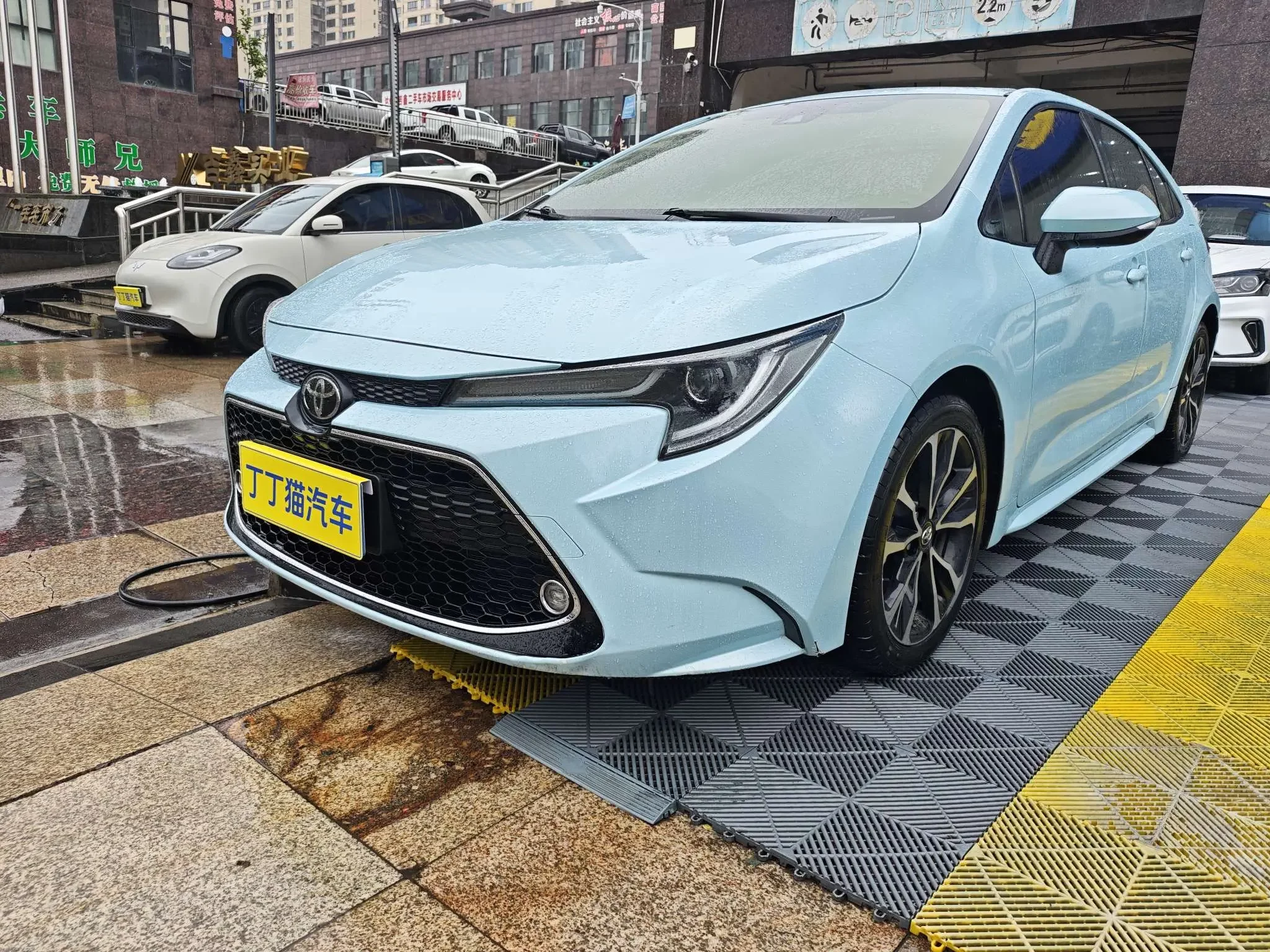 Toyota Levin