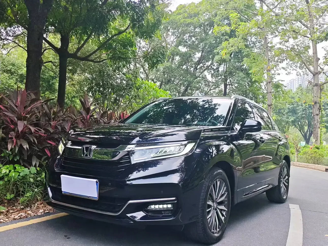Honda Avancier