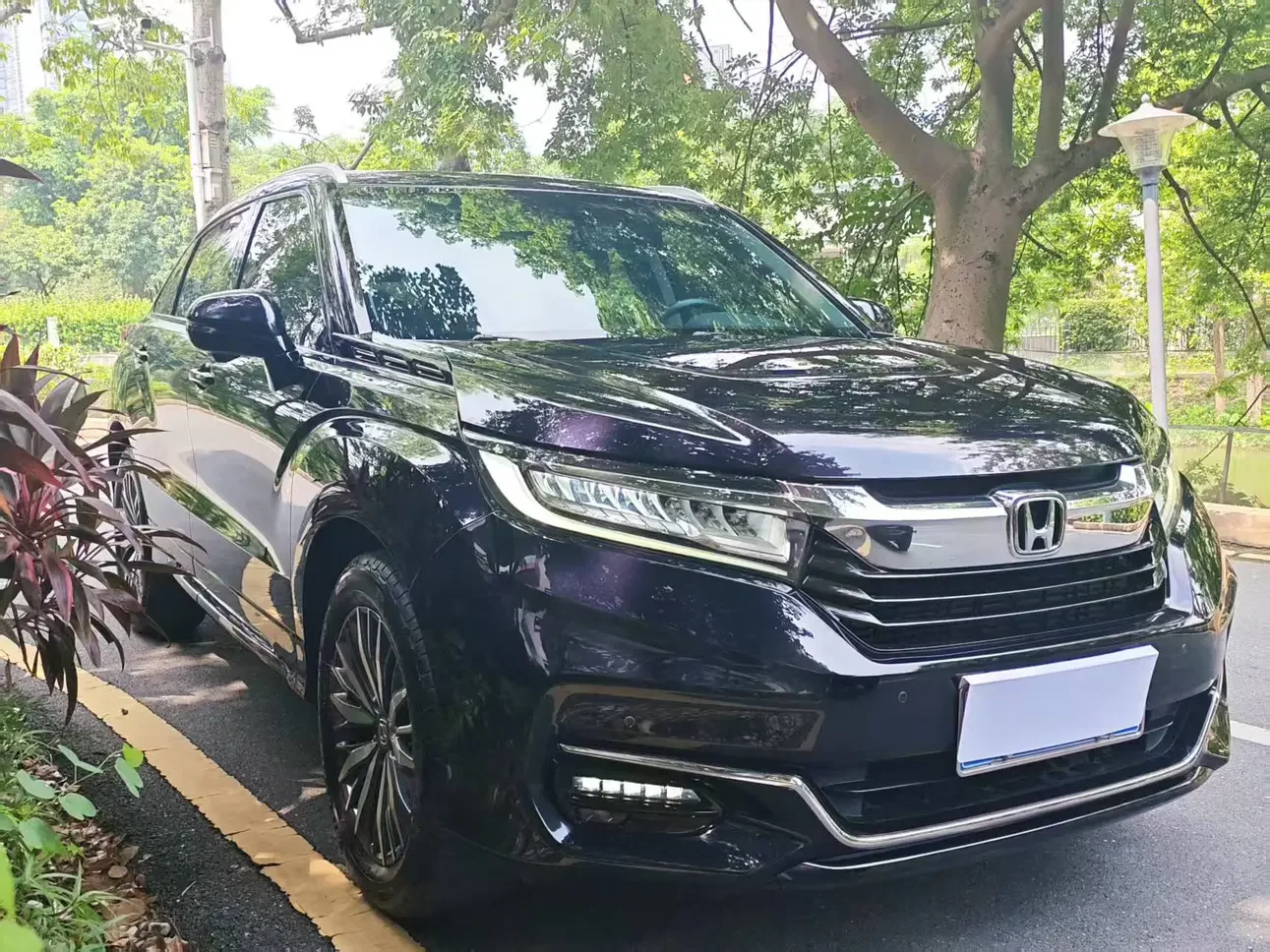 Honda Avancier