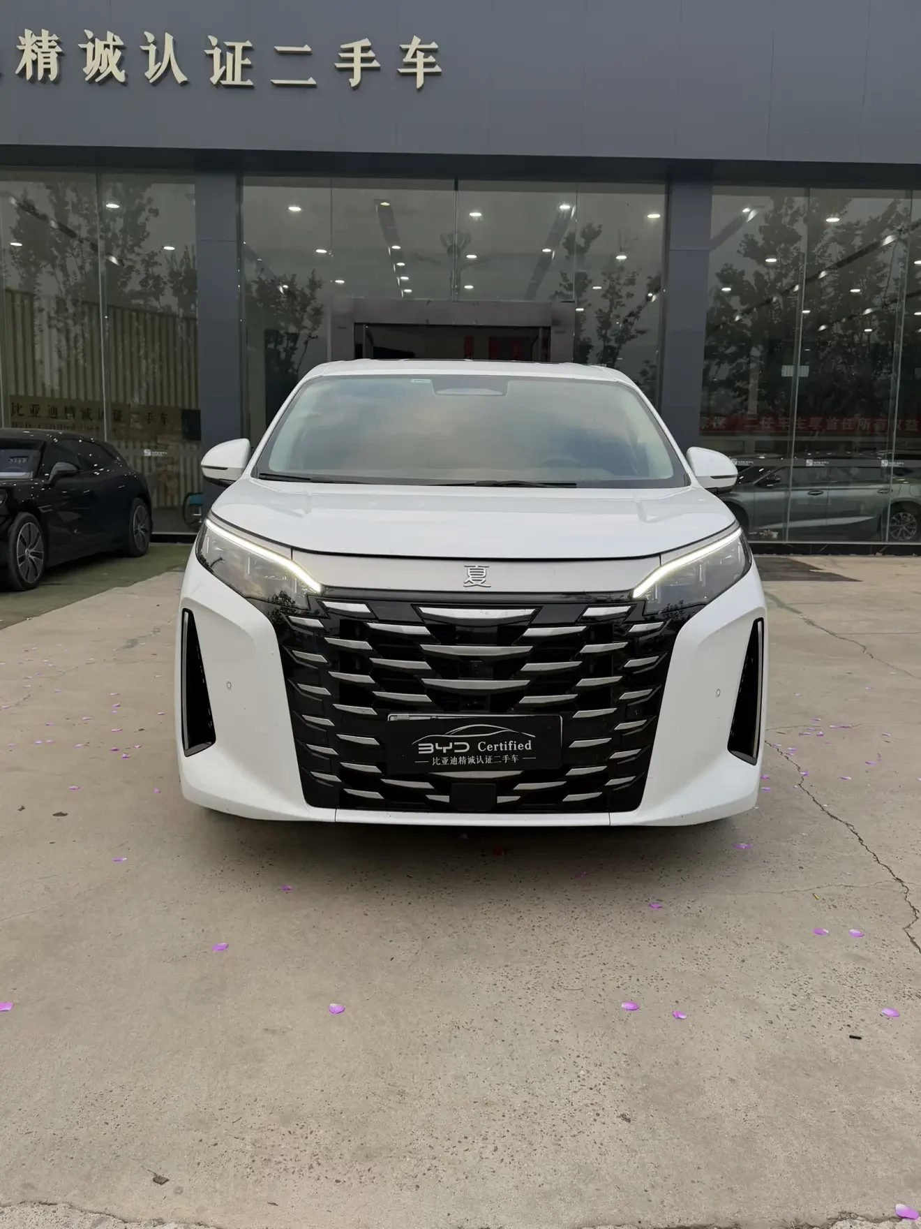 BYD Xia
