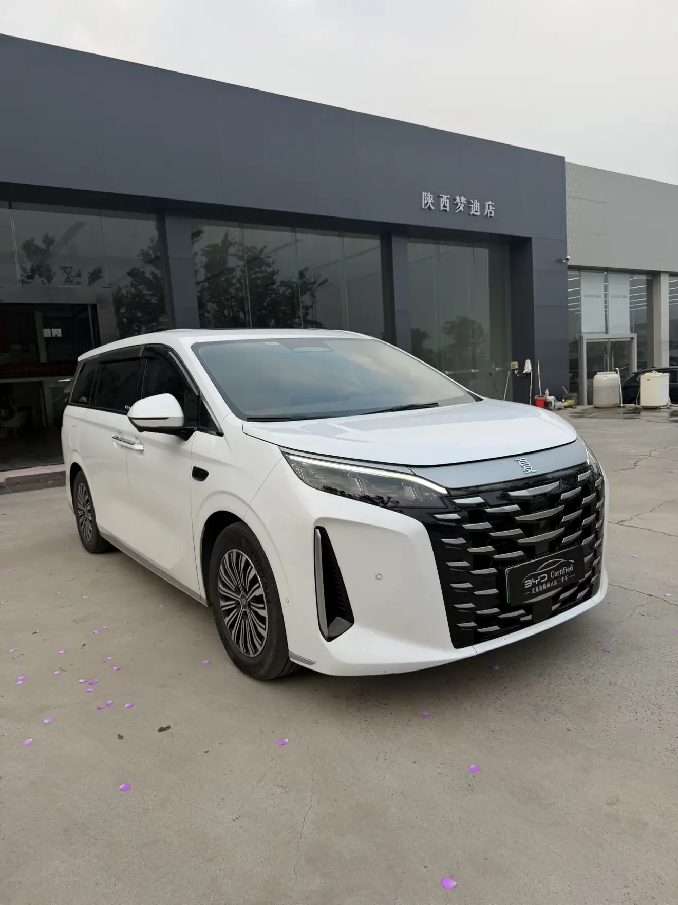 BYD Xia