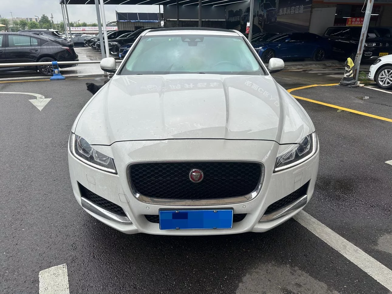 Jaguar XFL