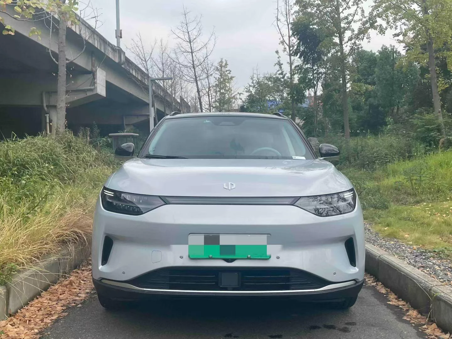 Leapmotor C11
