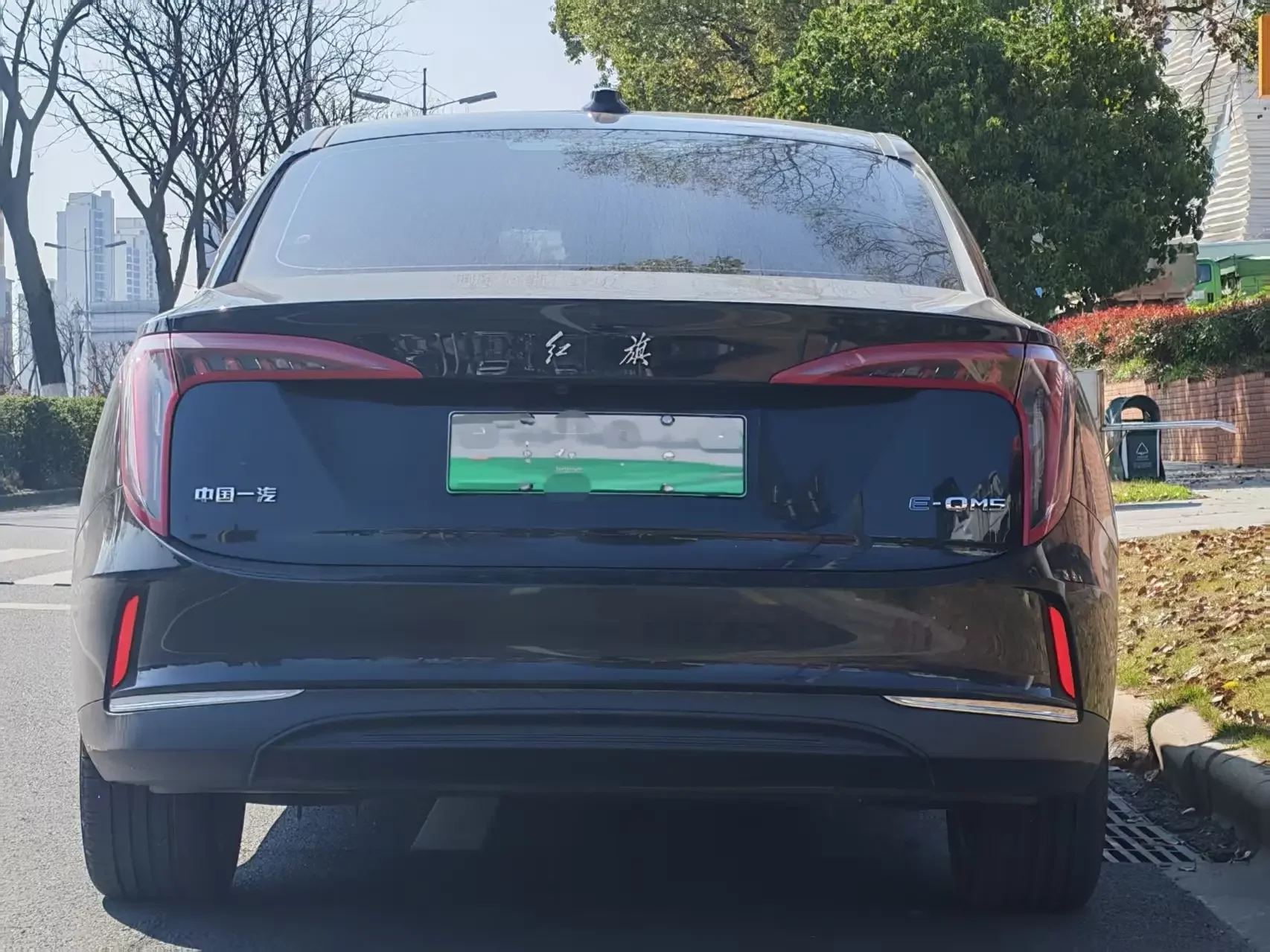 Hongqi E-QM5