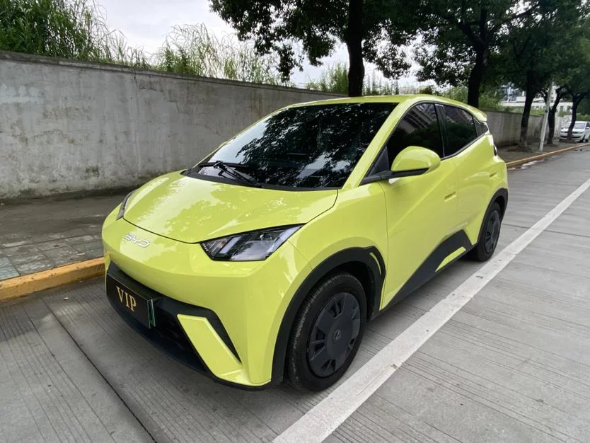 BYD Seagull
