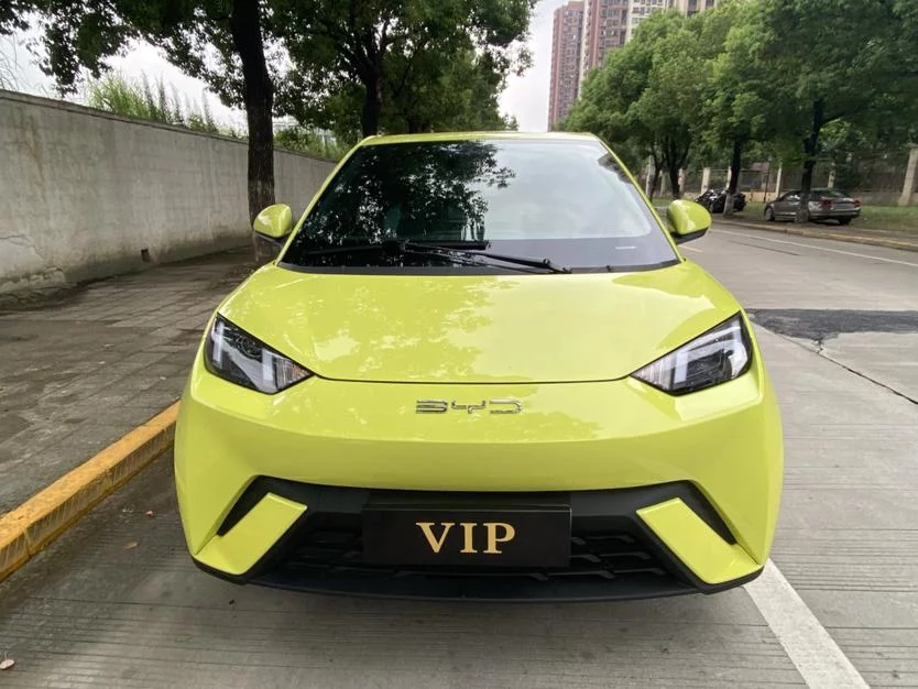 BYD Seagull