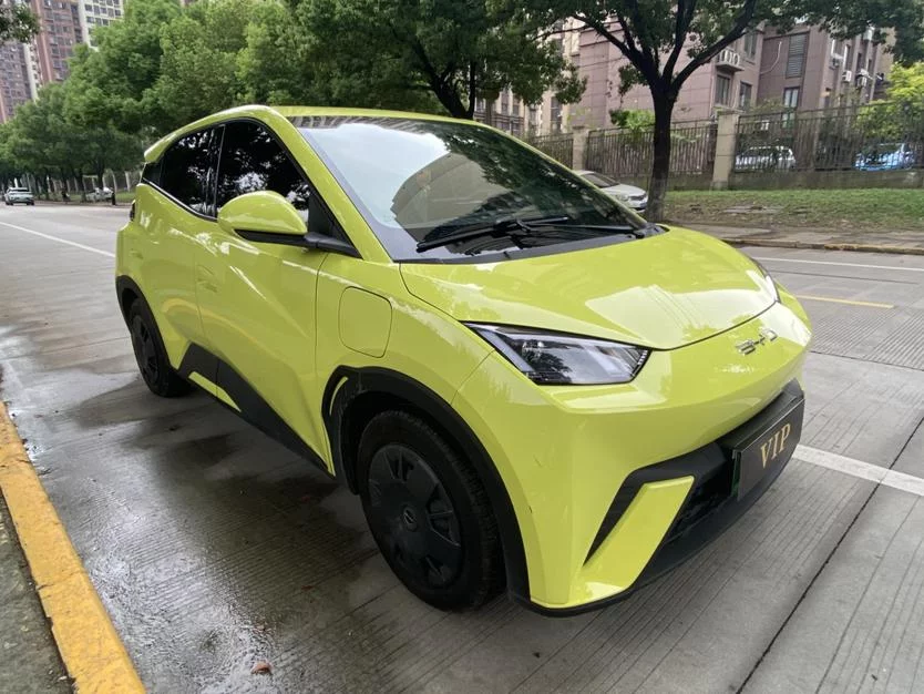 BYD Seagull