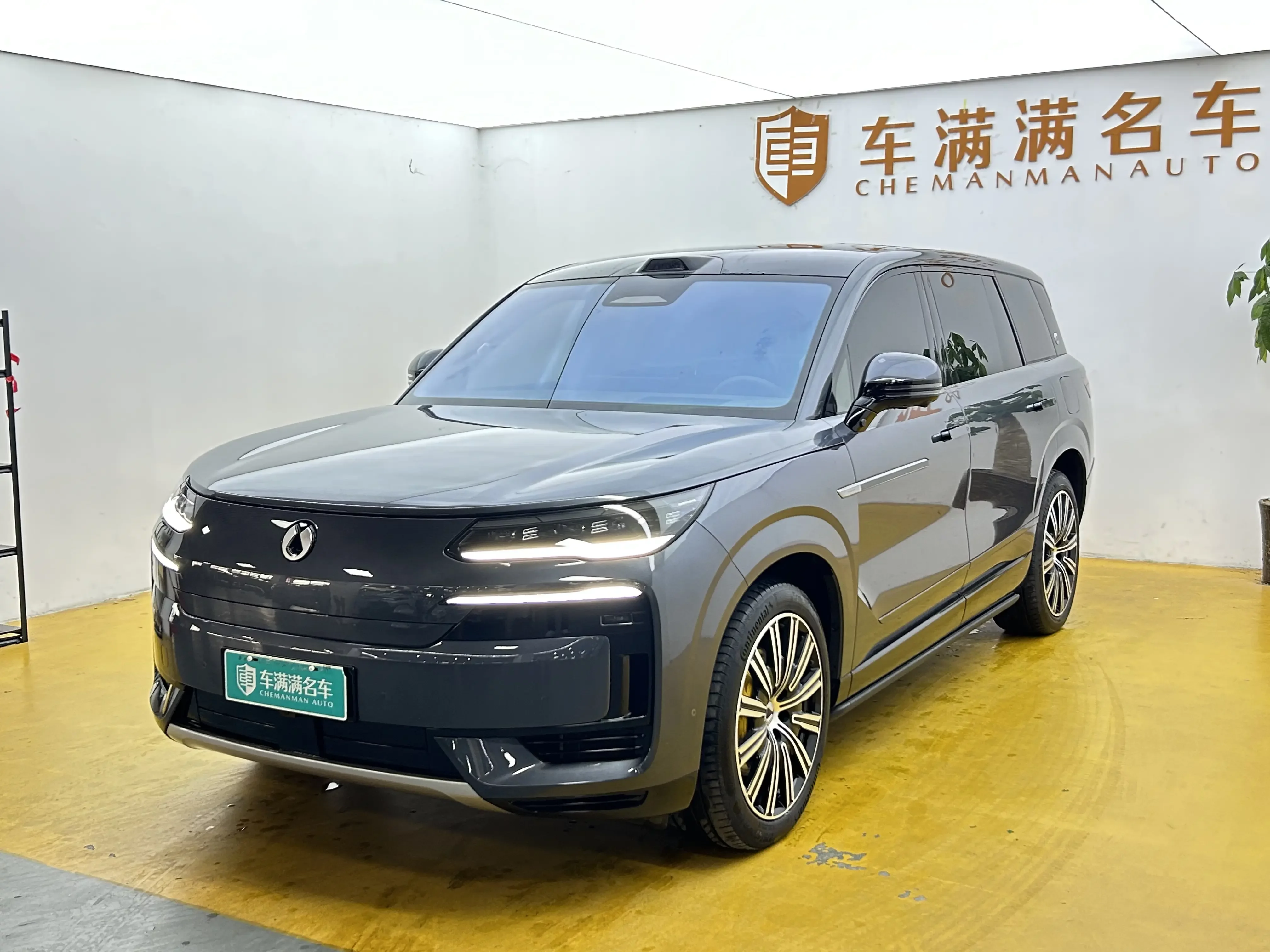 Denza Tengzhong N9 DM
