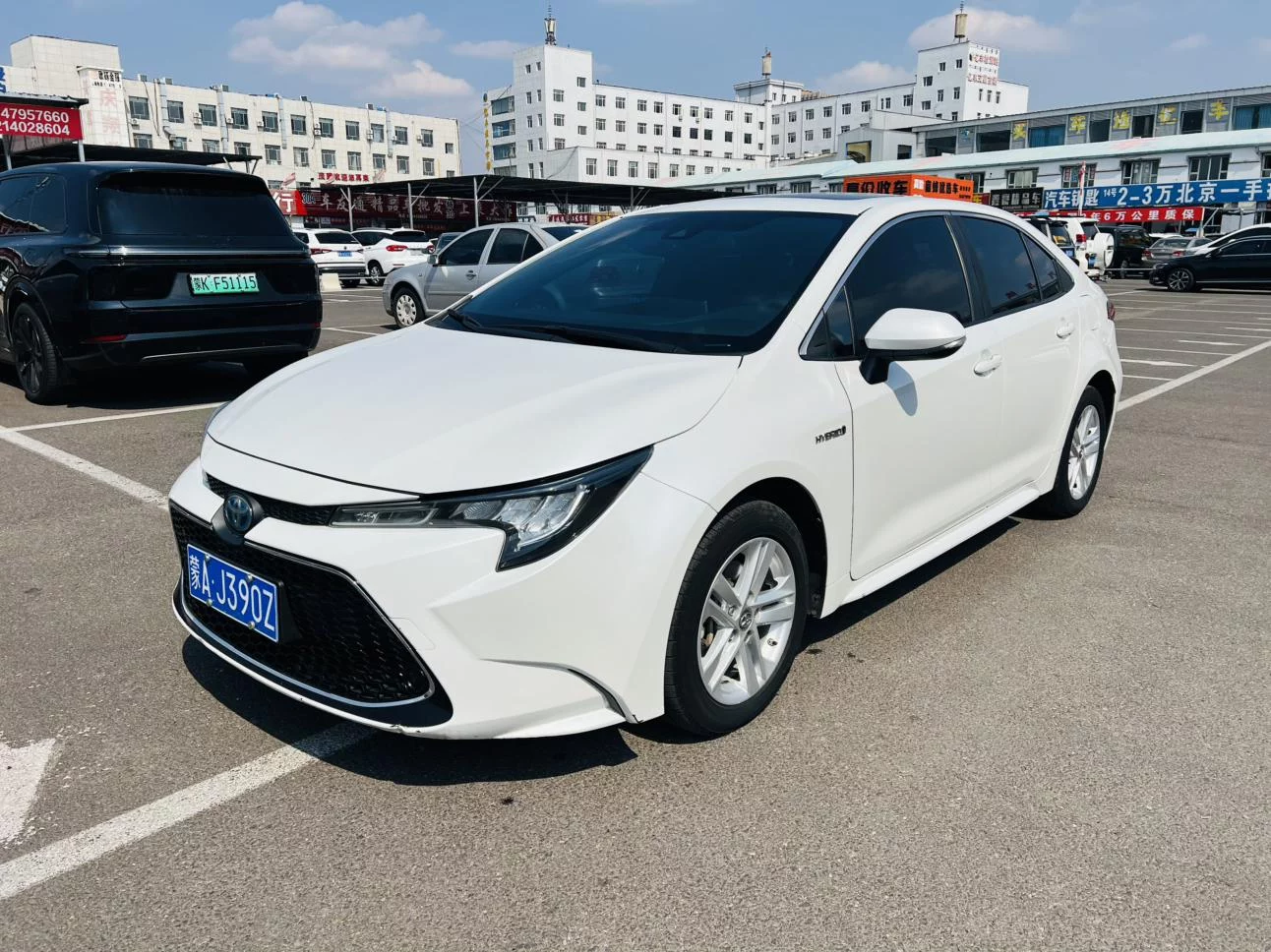 Toyota Levin