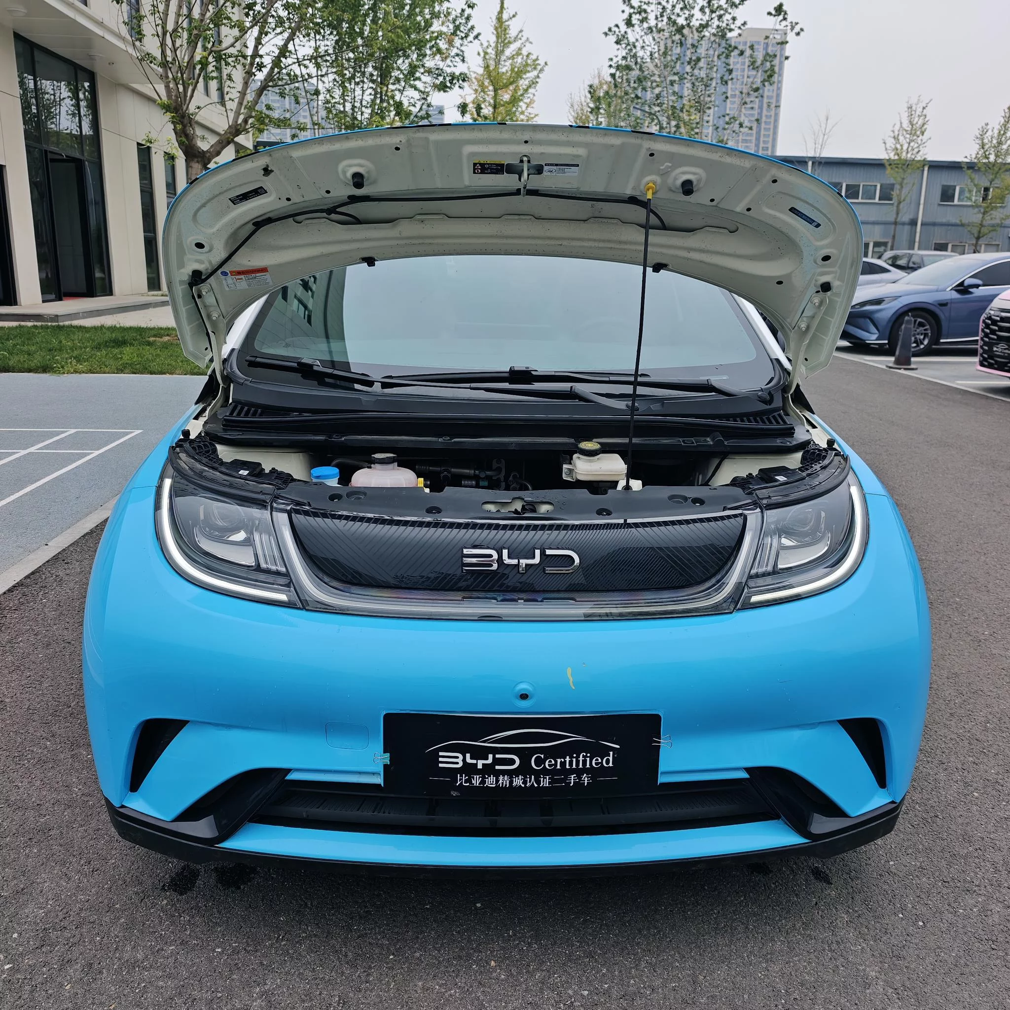 BYD Dolphin