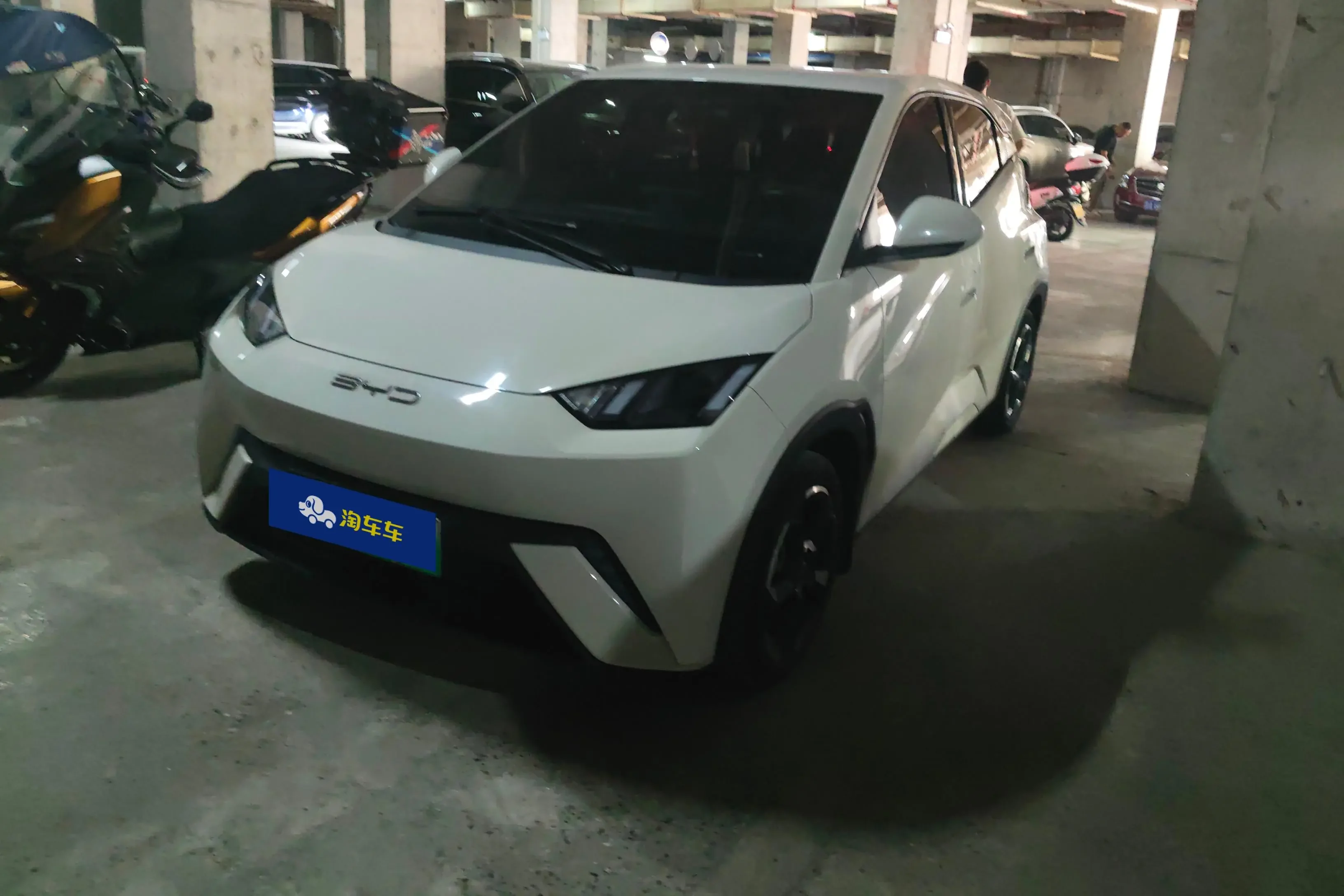 BYD Seagull