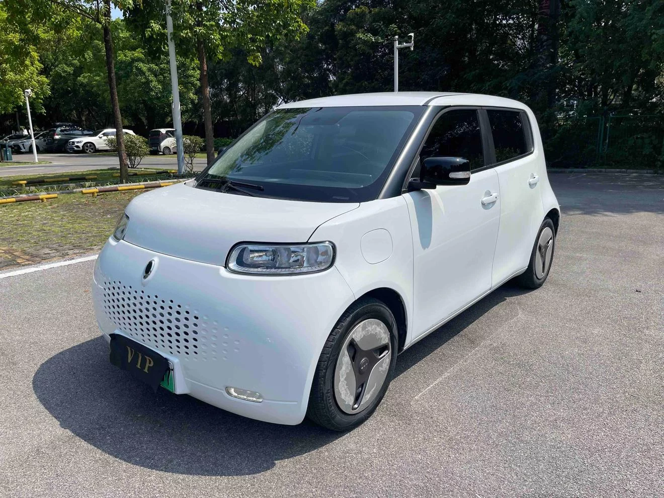ORA Euler white cat