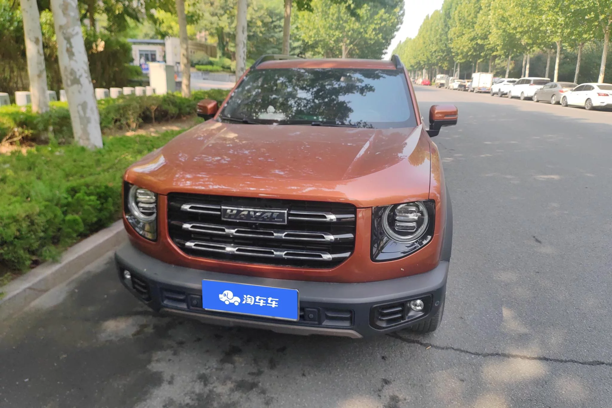 Haval Dargo