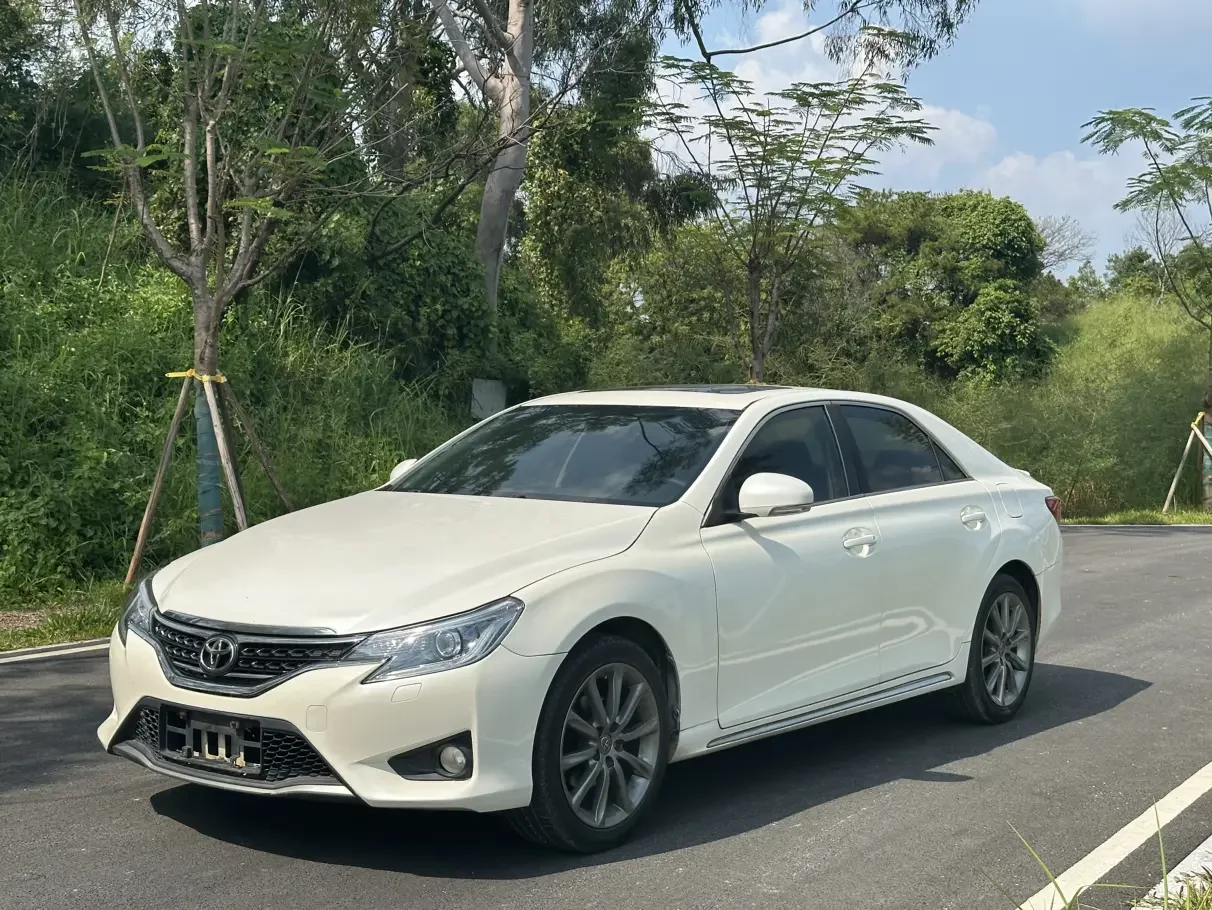 Toyota Ruizhi