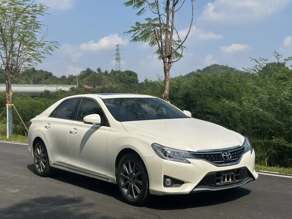 Toyota Ruizhi