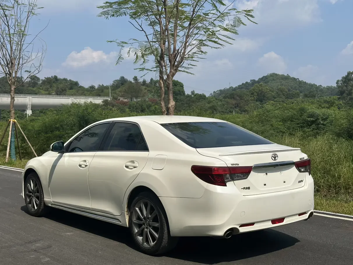 Toyota Ruizhi