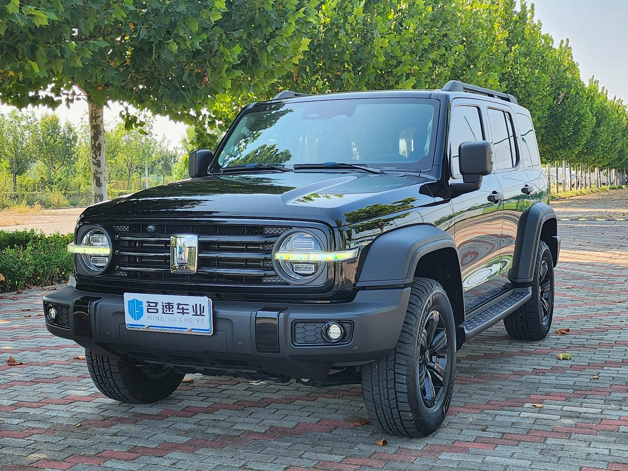 TANK 300