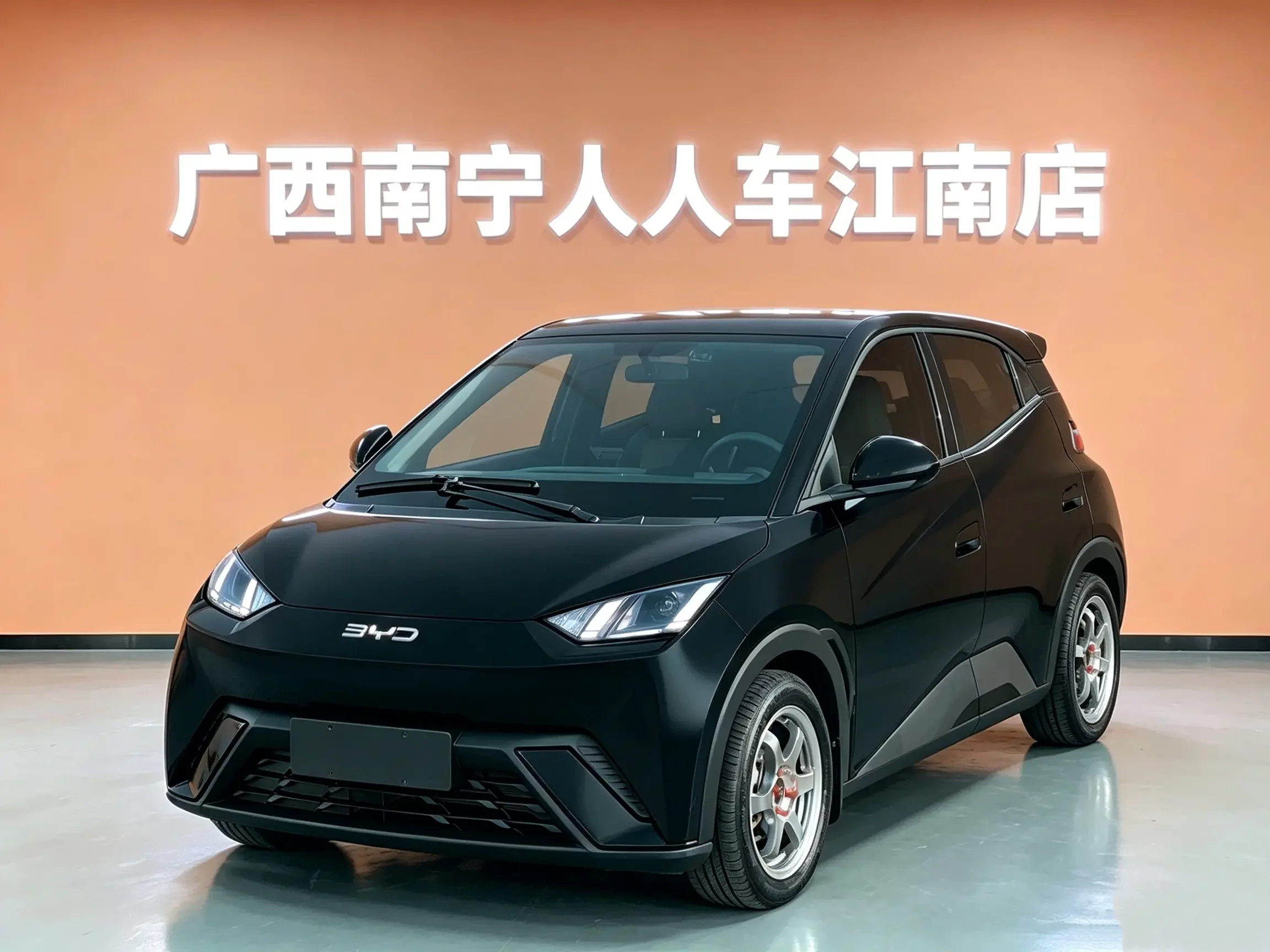 BYD Seagull