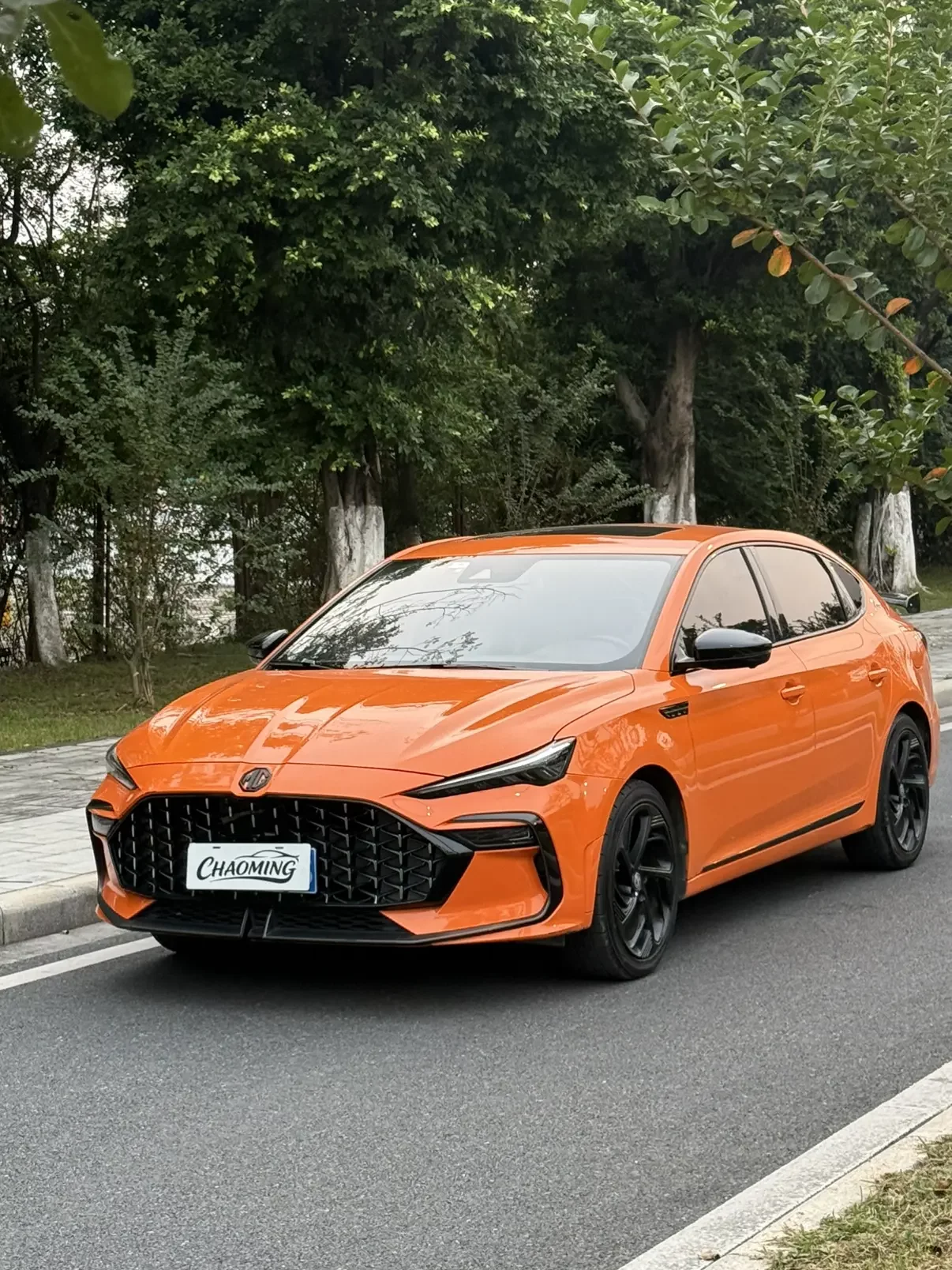 MG 6