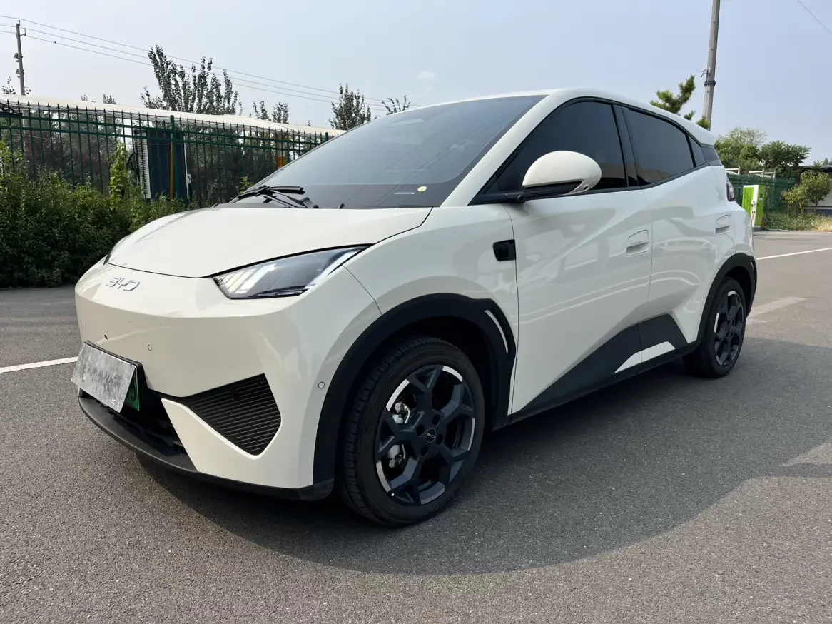BYD Seagull