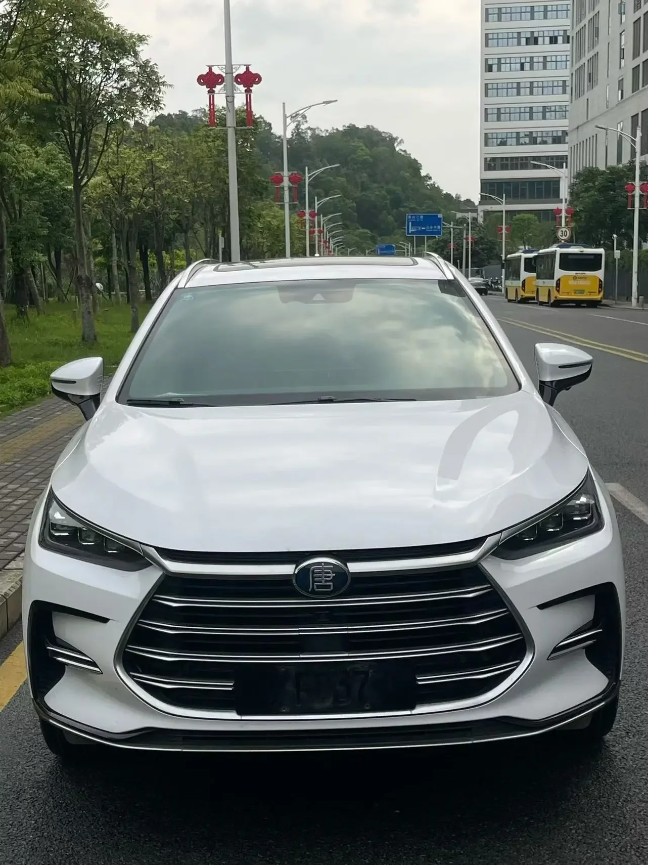 BYD Tang DM