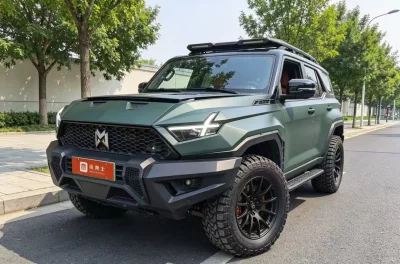 Mengshi Warrior 917