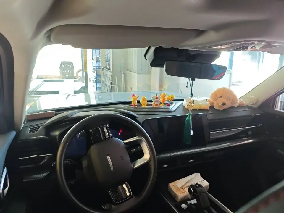 Haval cool dog