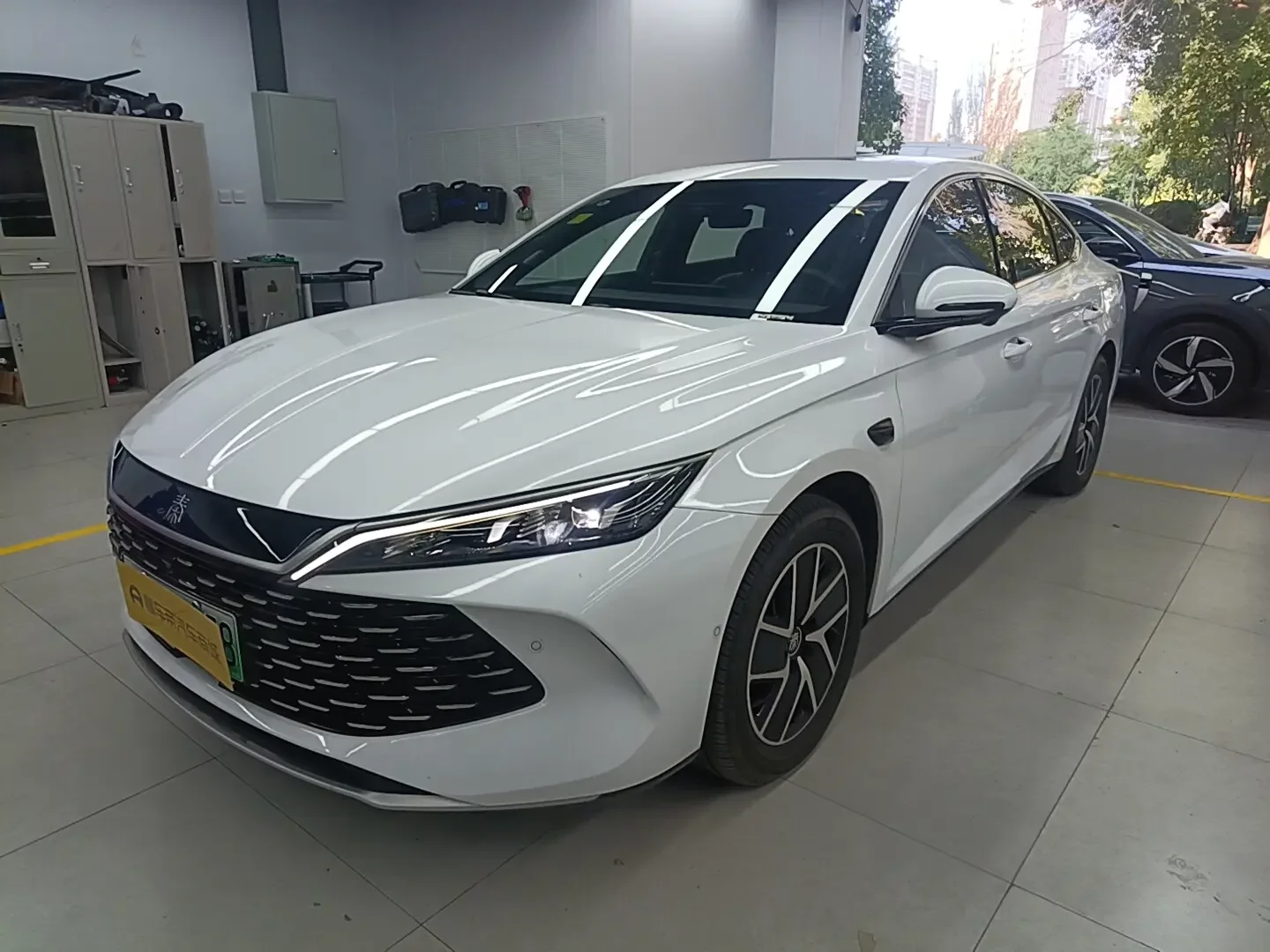 BYD Qin L DM