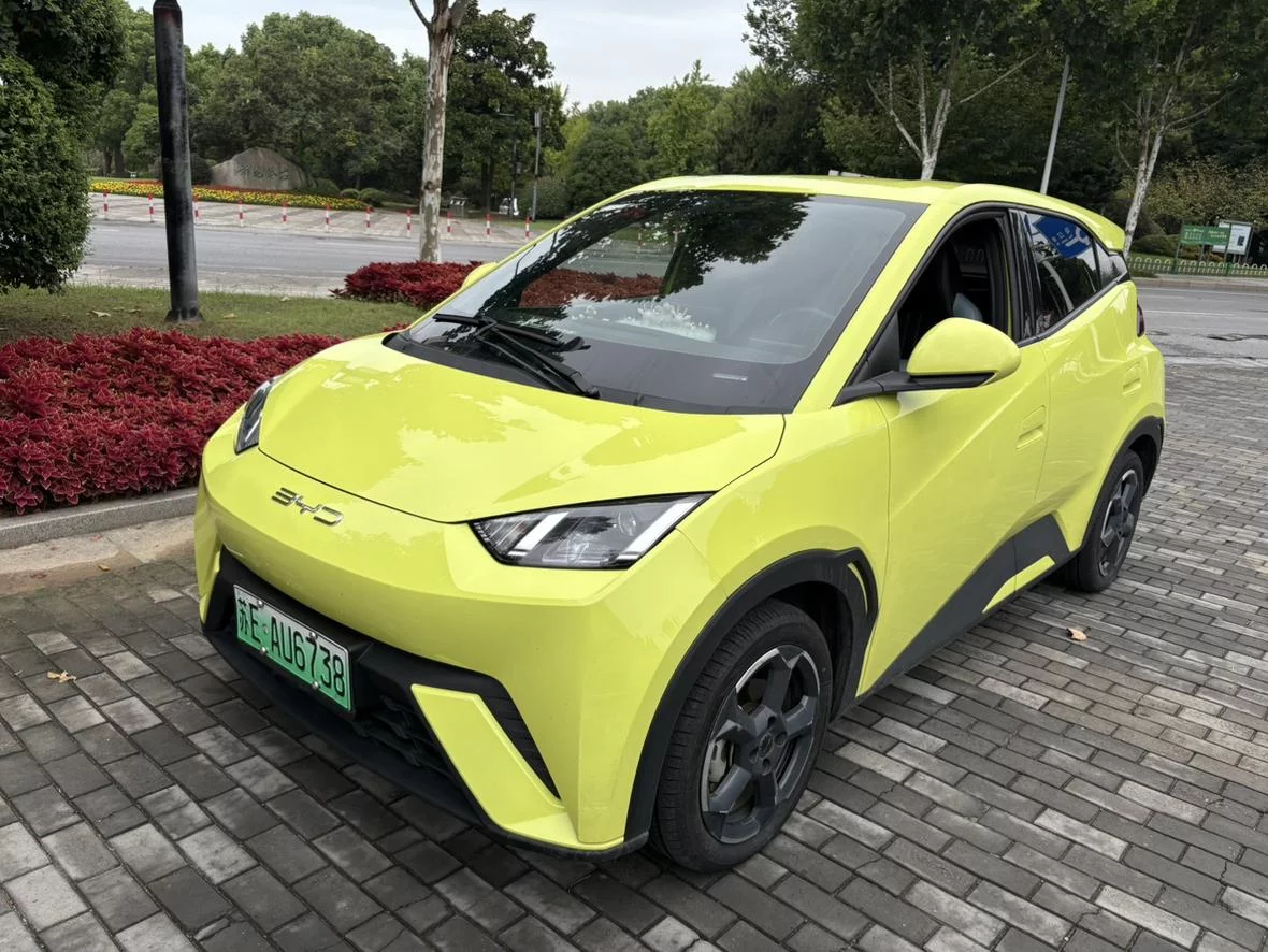 BYD Seagull