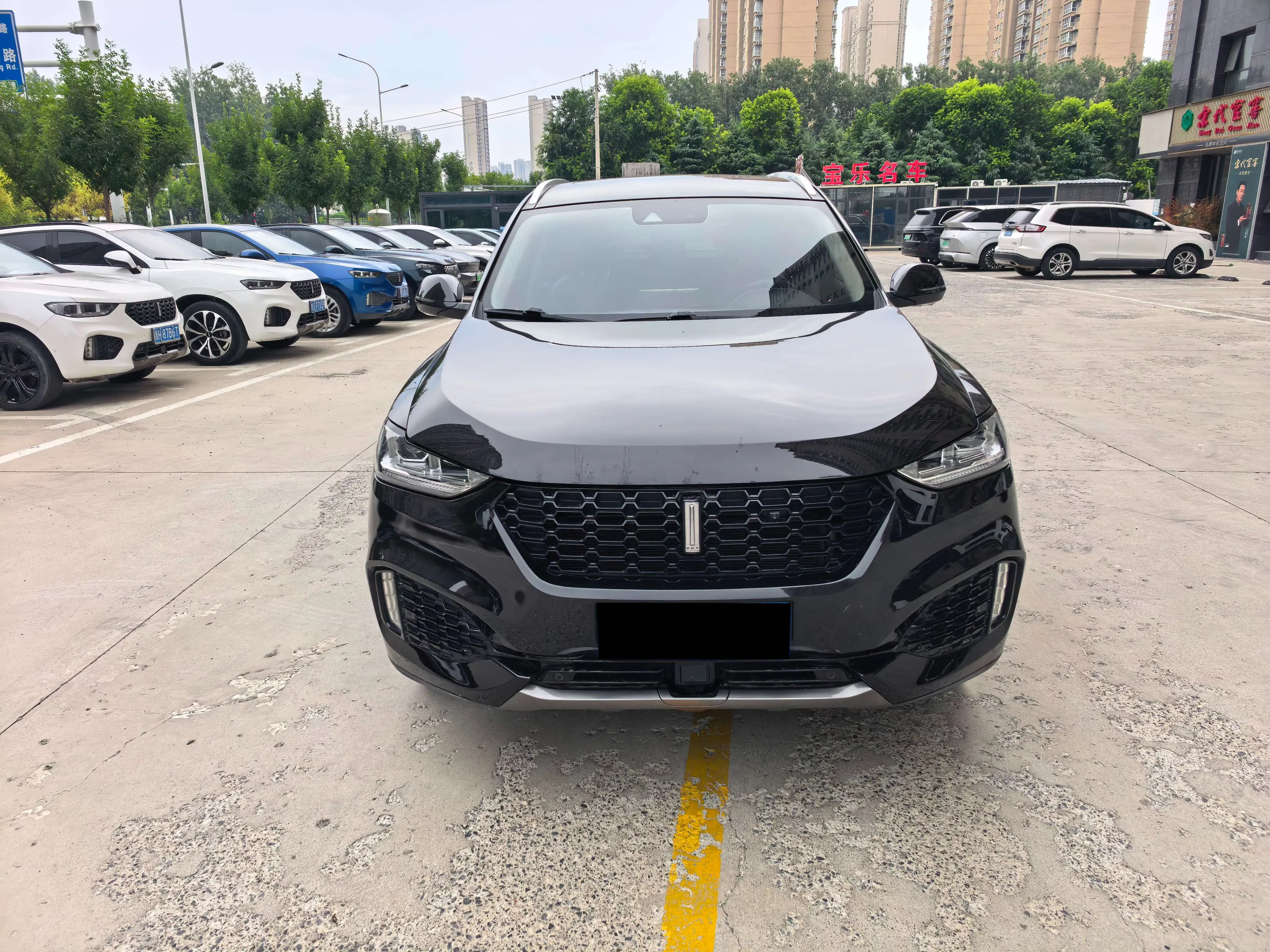 Wey Wei brand VV6  из Китая
