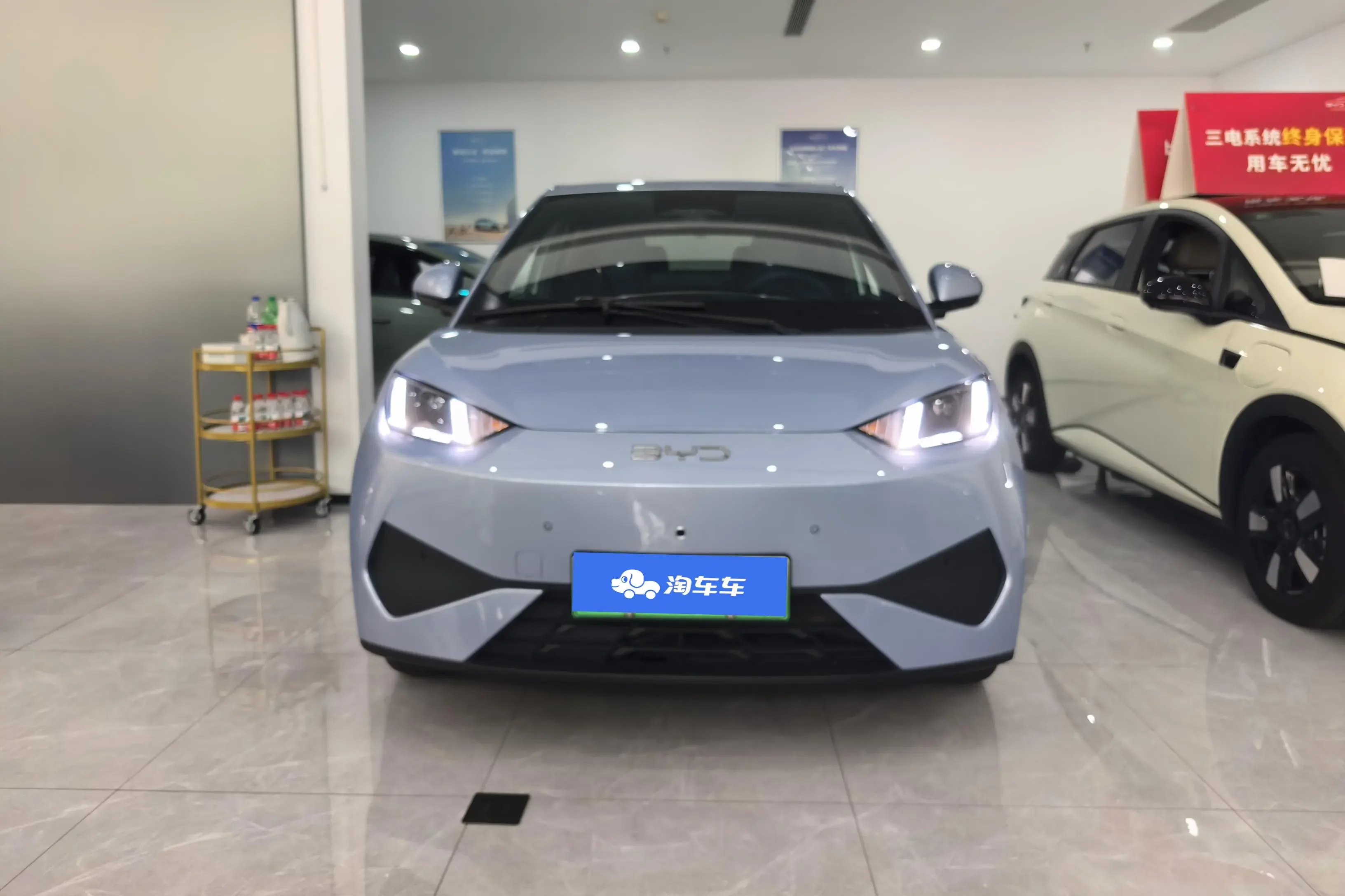 BYD Seagull